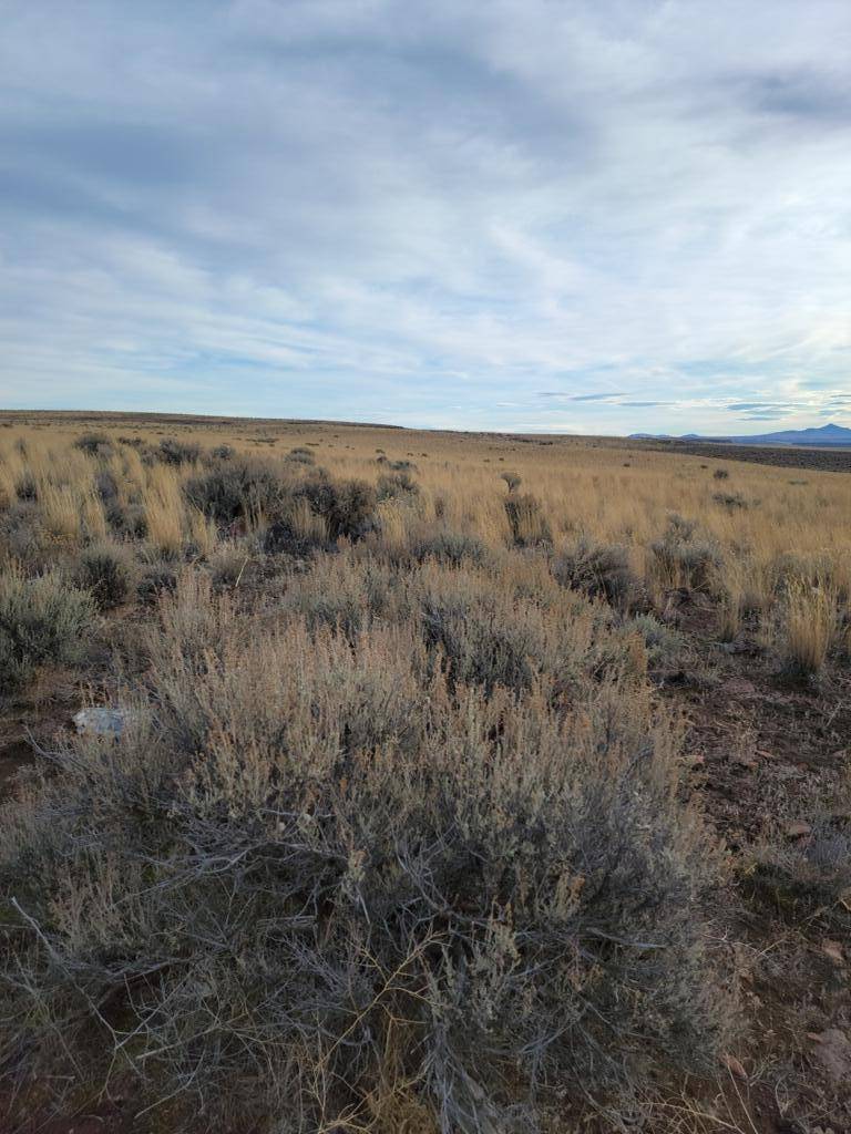 Christmas Valley, OR 97641,TL2300 Christmas Valley Highway