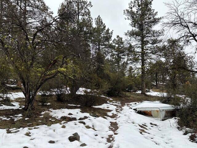 Bonanza, OR 97623,Lot 31 Sparrow Hawk DR
