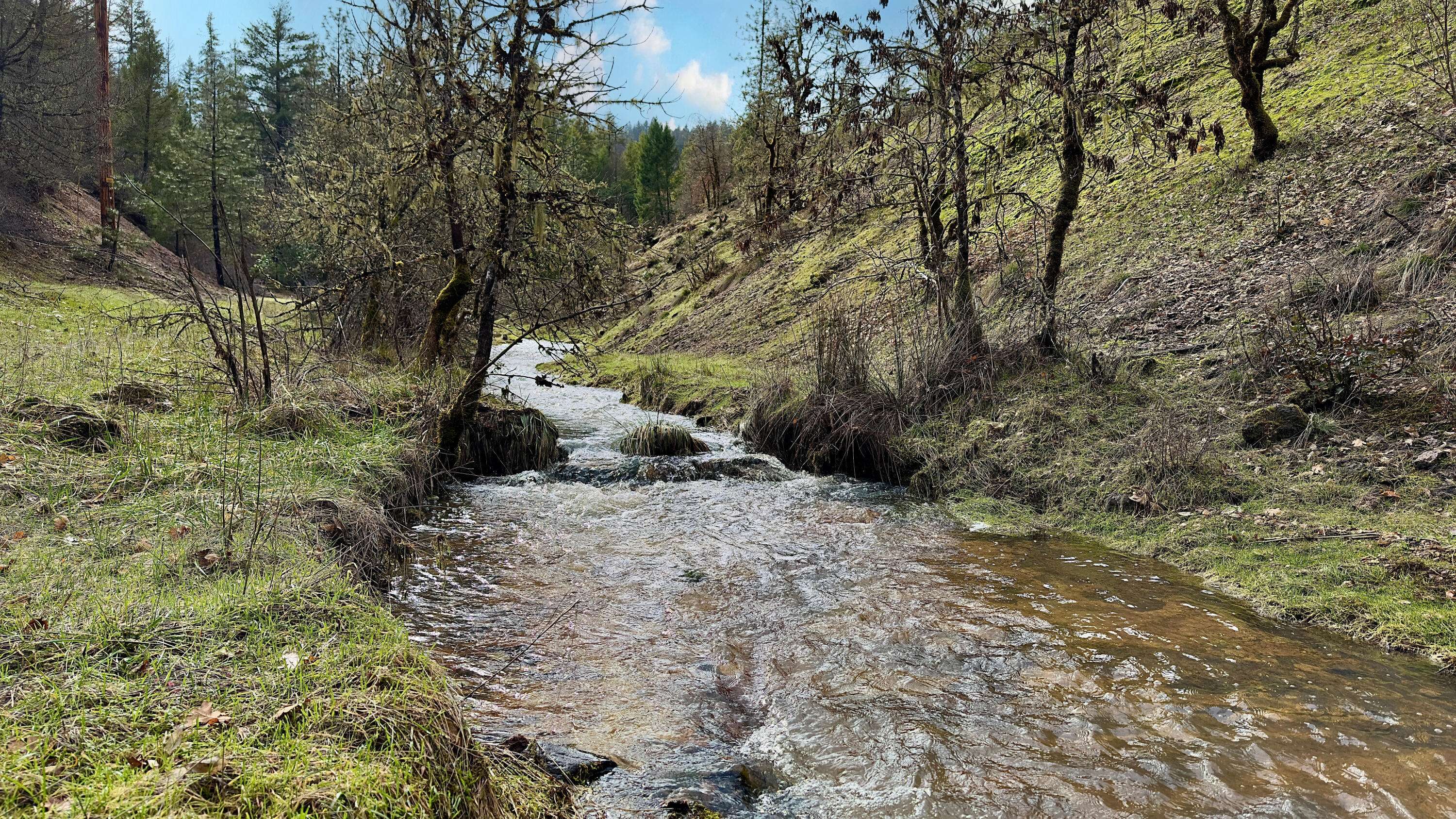 Trail, OR 97541,283A Fork Trail Creek RD