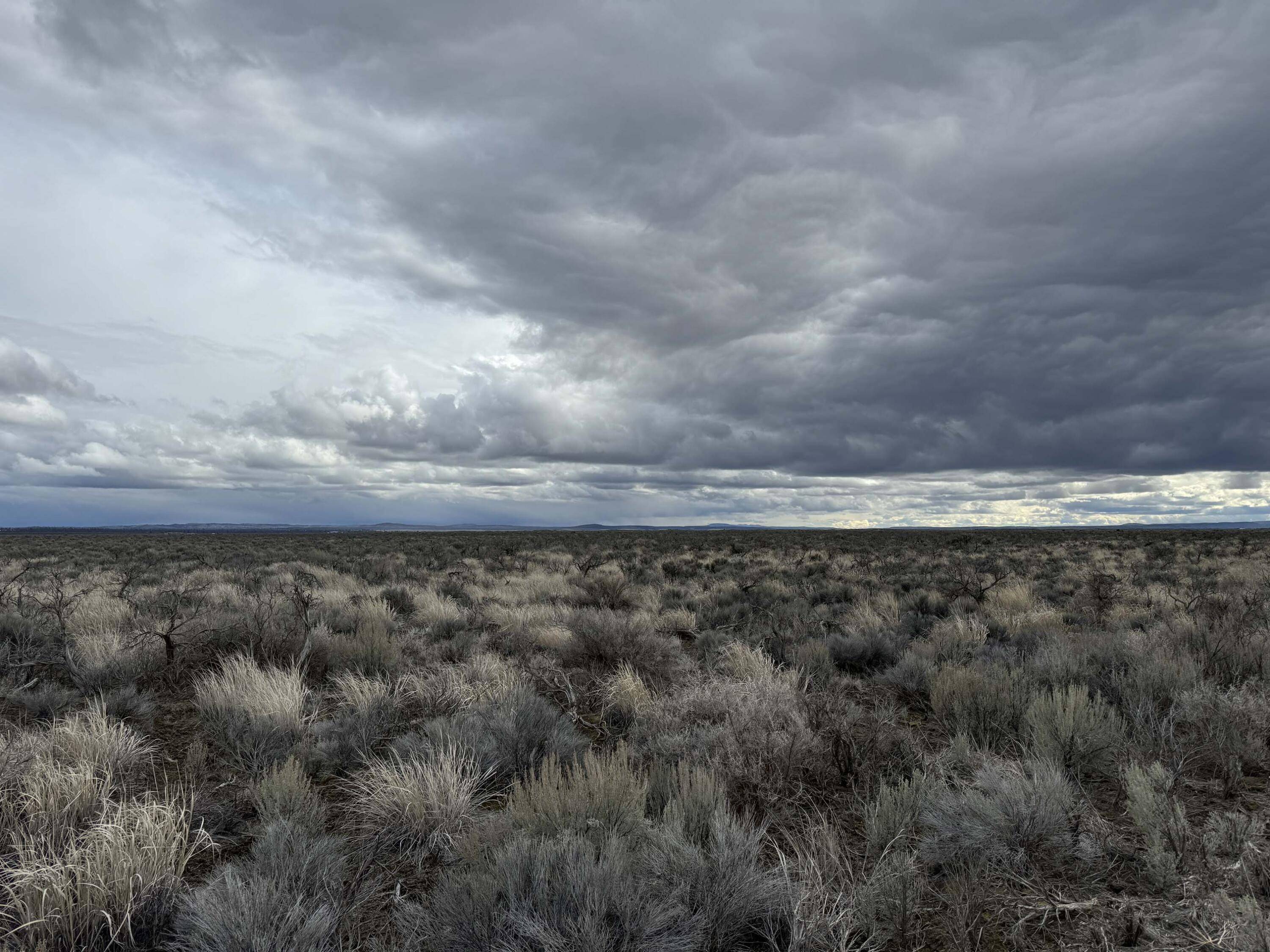 Christmas Valley, OR 97641,Lost Forest LN #TL~5601