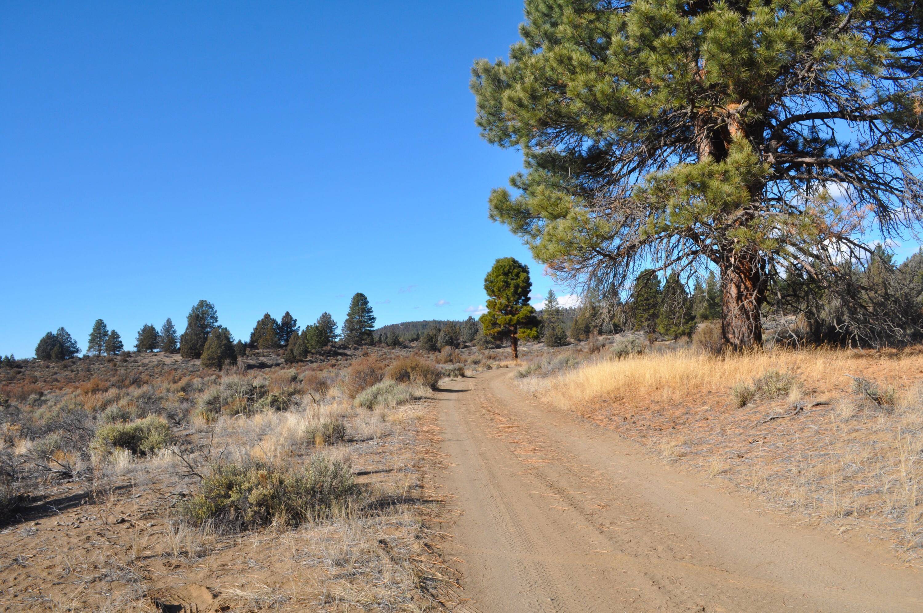 Sprague River, OR 97639,20 Acres Off of Tableland