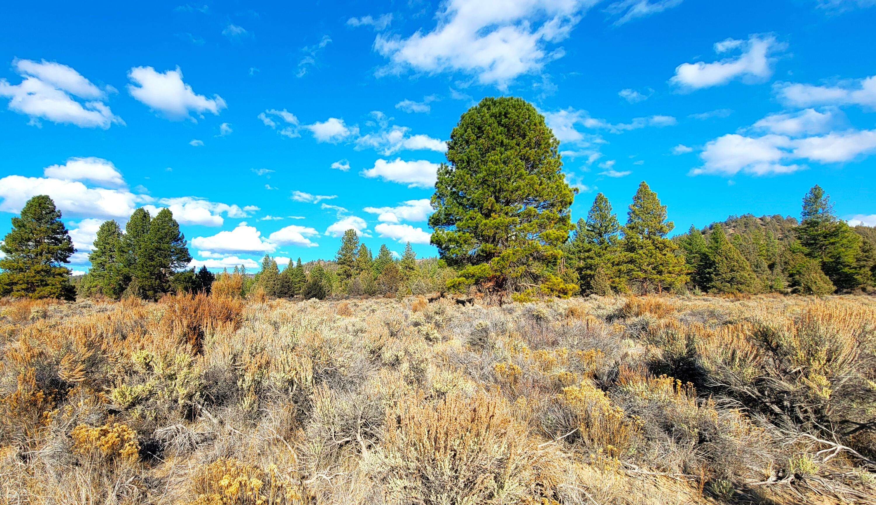 Sprague River, OR 97639,20 Acres Off of Tableland