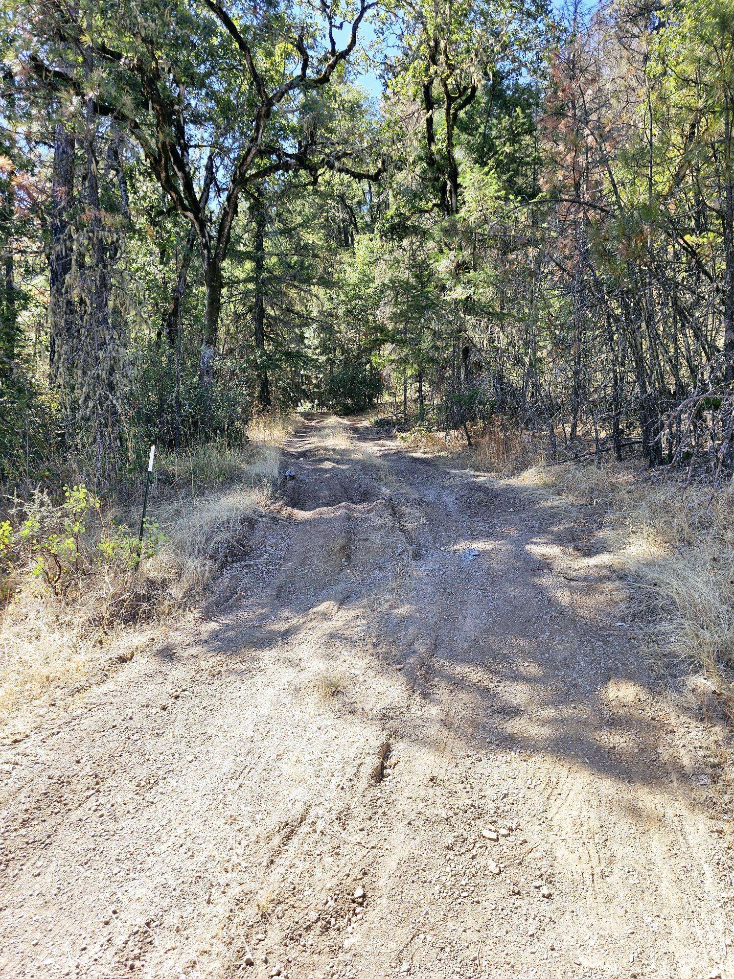 Trail, OR 97541,6531 Crowfoot RD