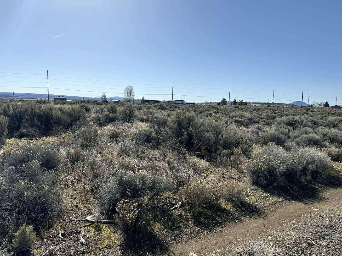 Christmas Valley, OR 97641,Larch ST #Lot 100