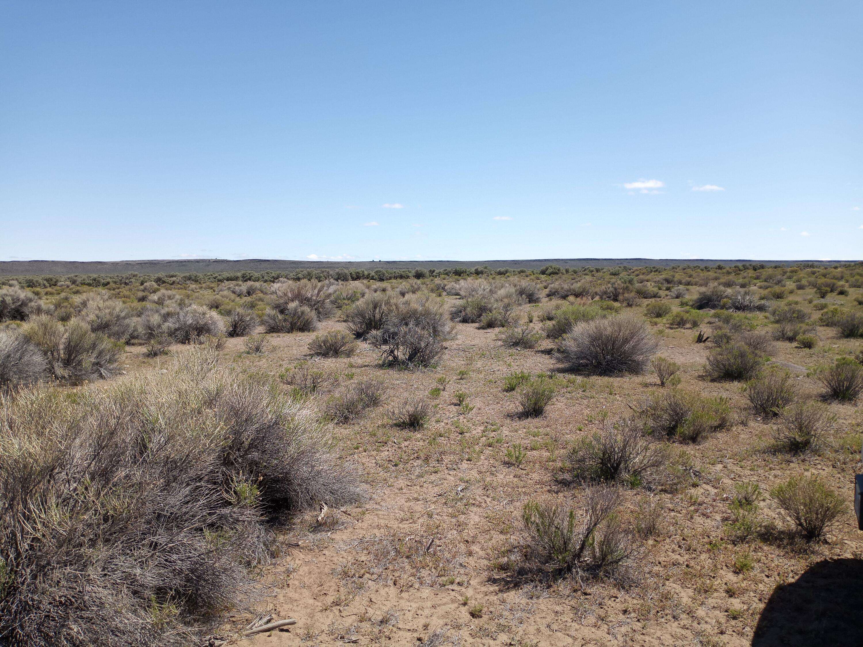 Christmas Valley, OR 97641,TL-5403 Wagontire RD