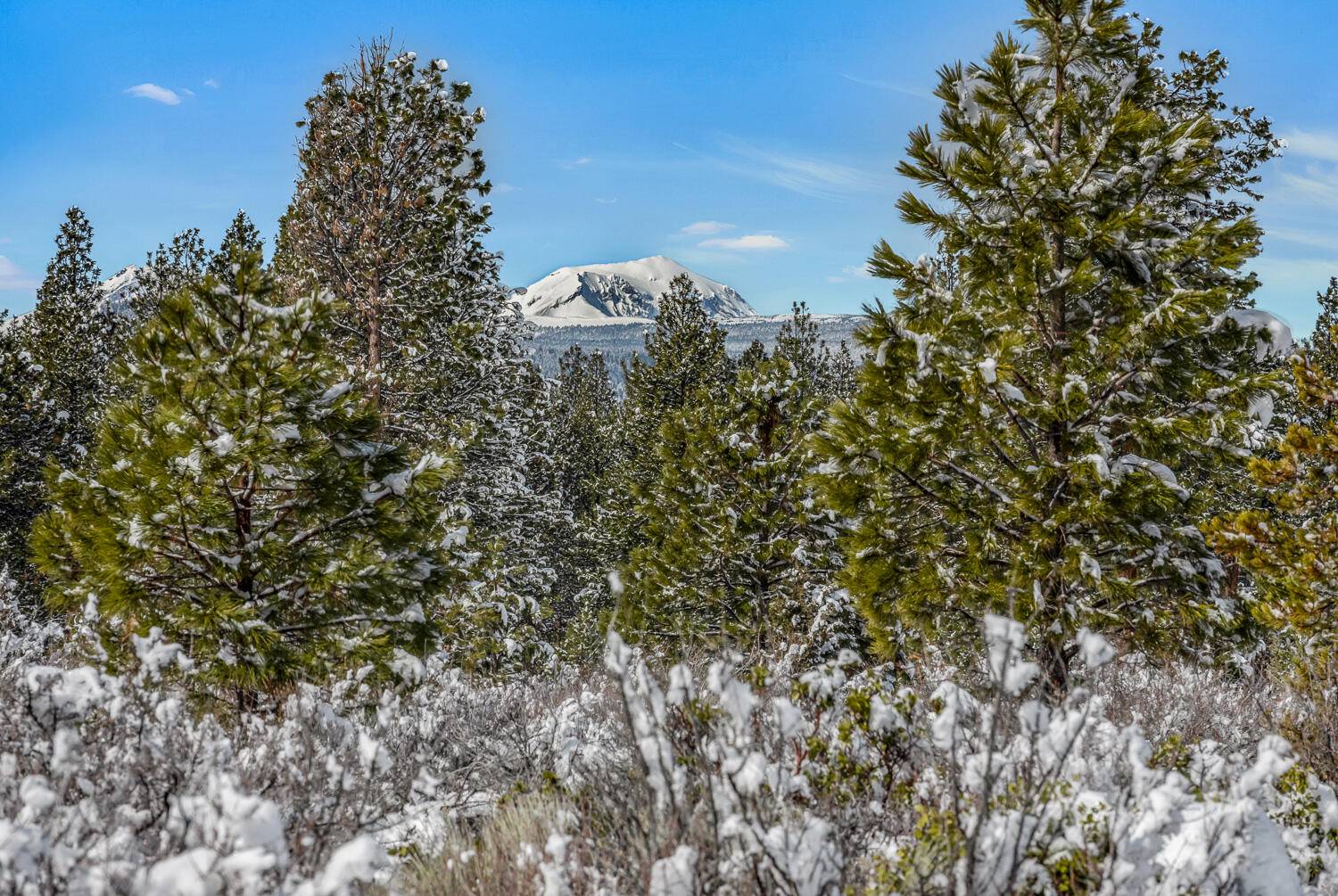 Bend, OR 97702,18945 Macalpine LOOP