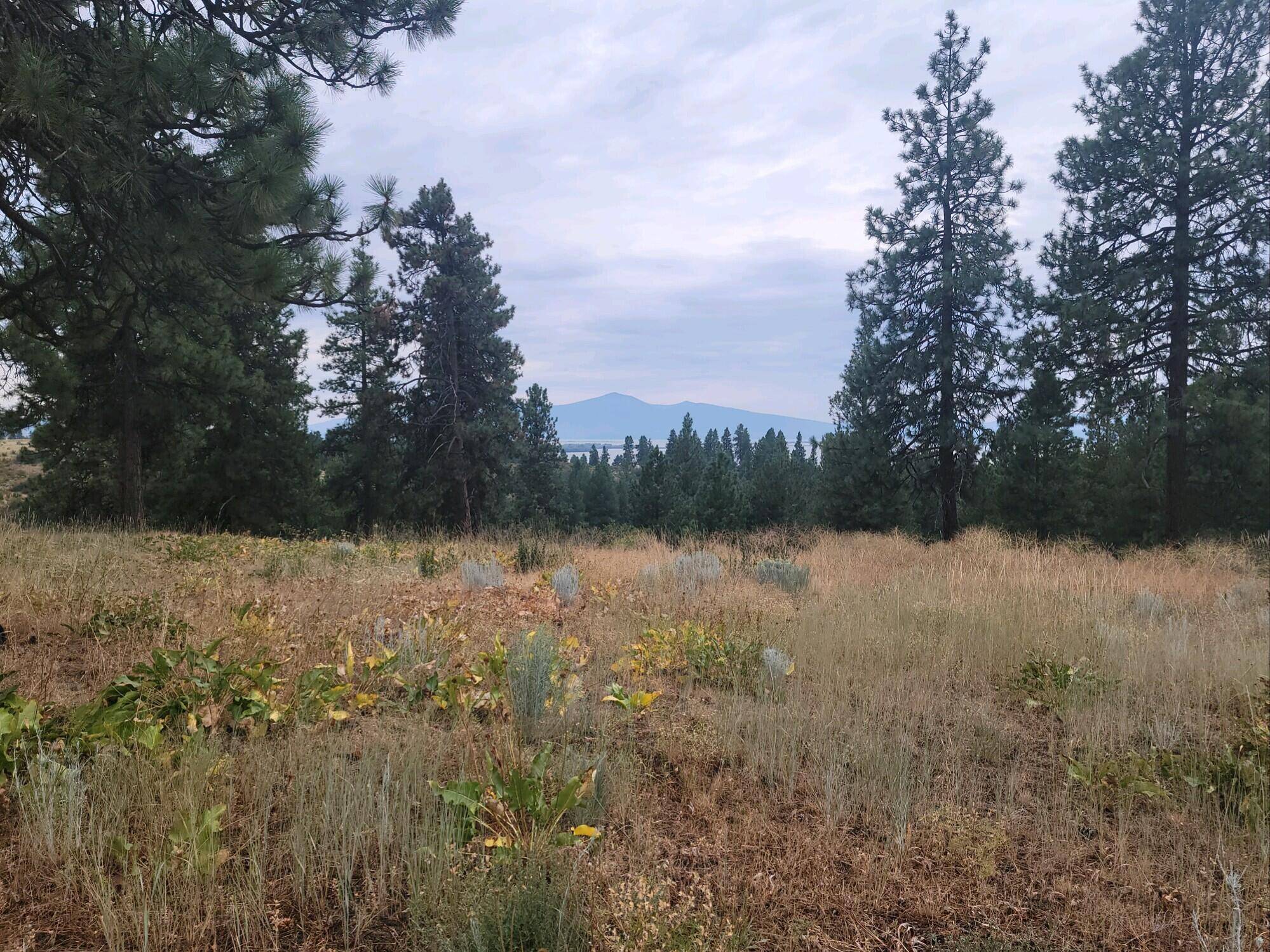 Chiloquin, OR 97624,Lot 31 Mark CT