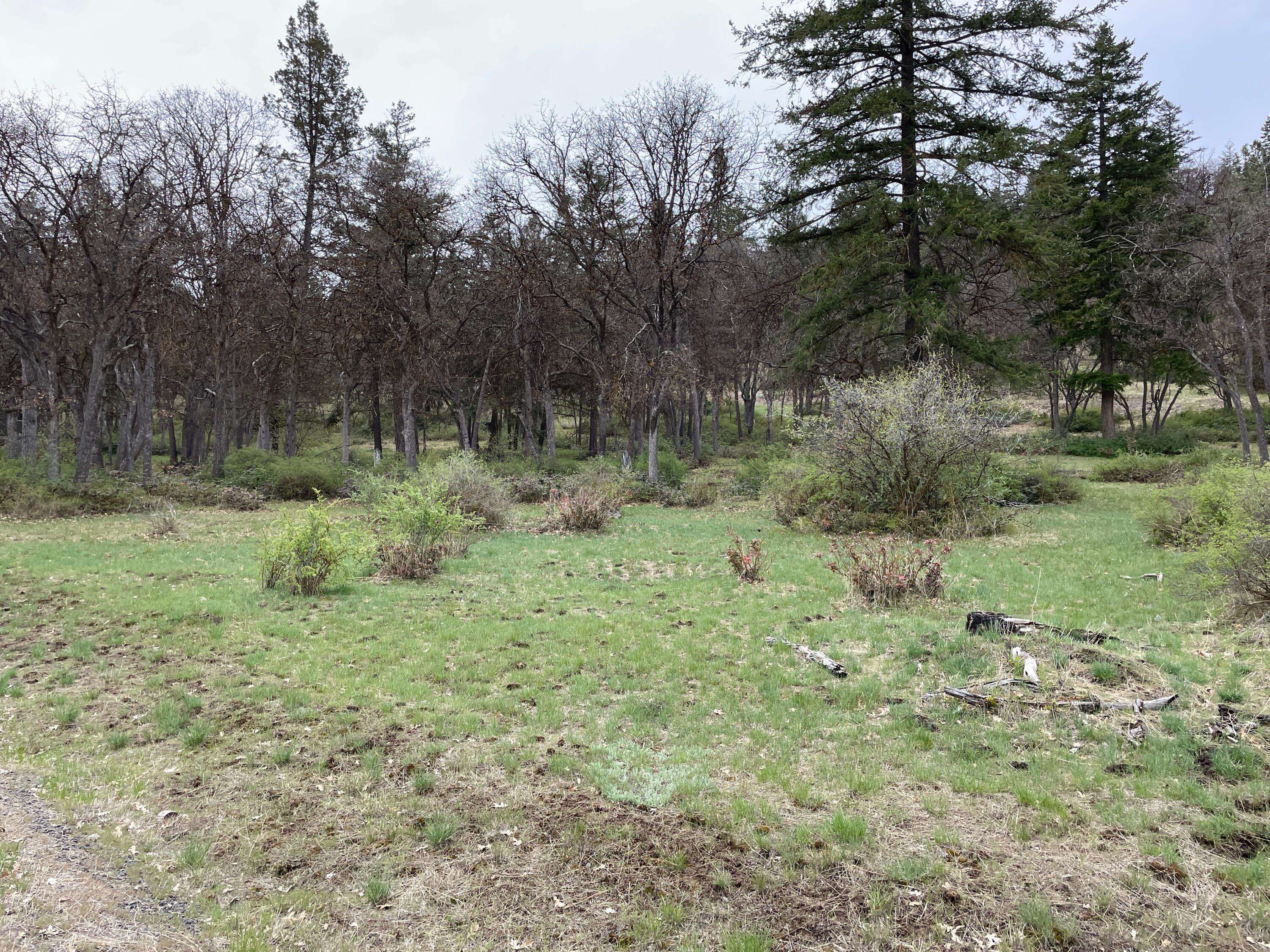 Klamath Falls, OR 97601,Redstart RD #Lot 904