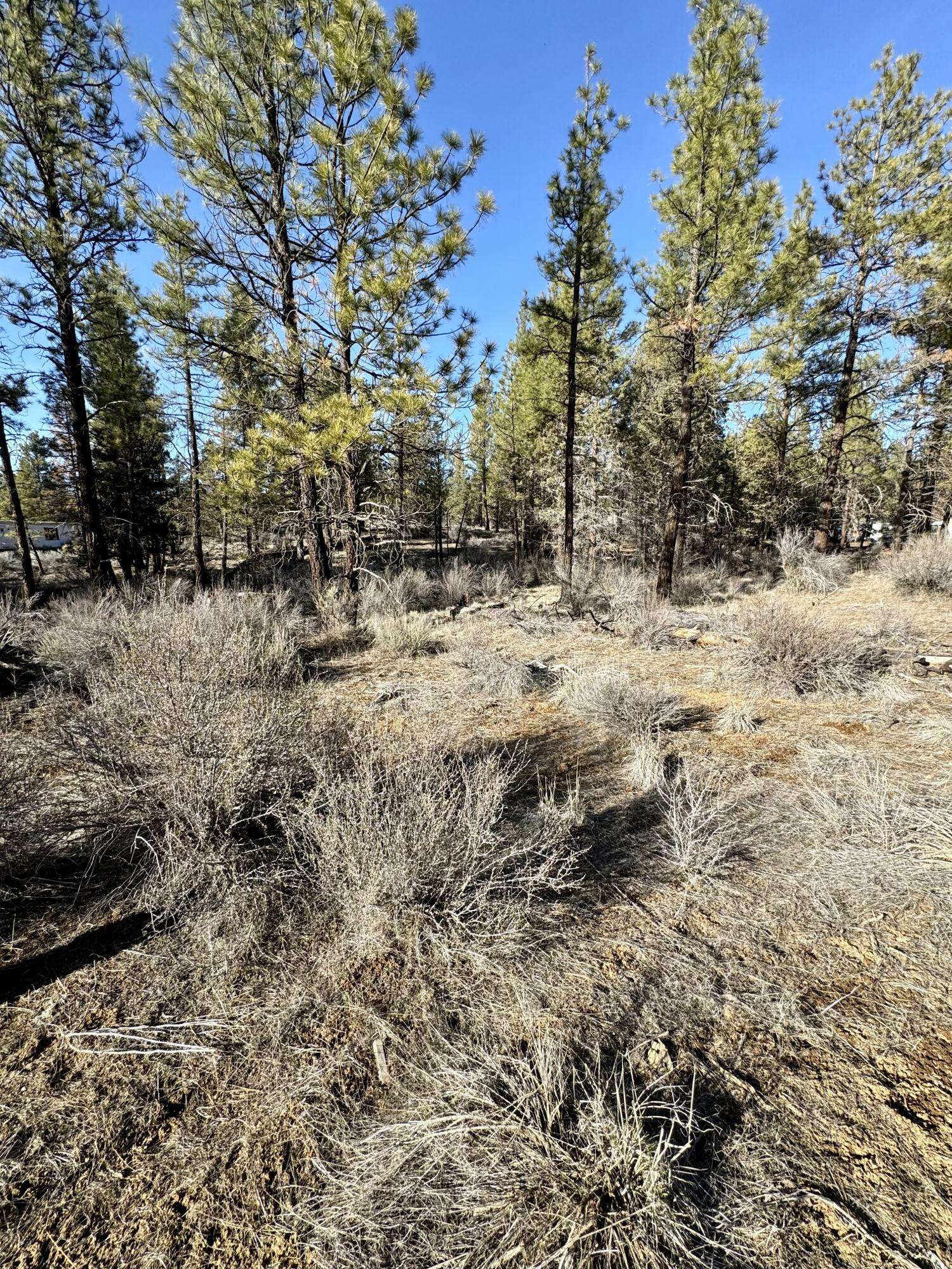 Chiloquin, OR 97624,Tepee LN