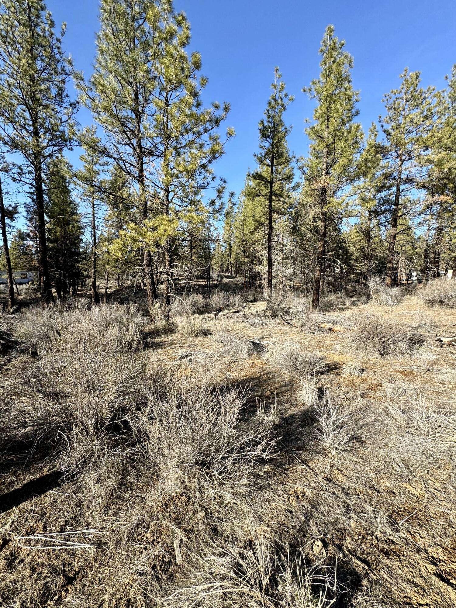 Chiloquin, OR 97624,Tepee LN