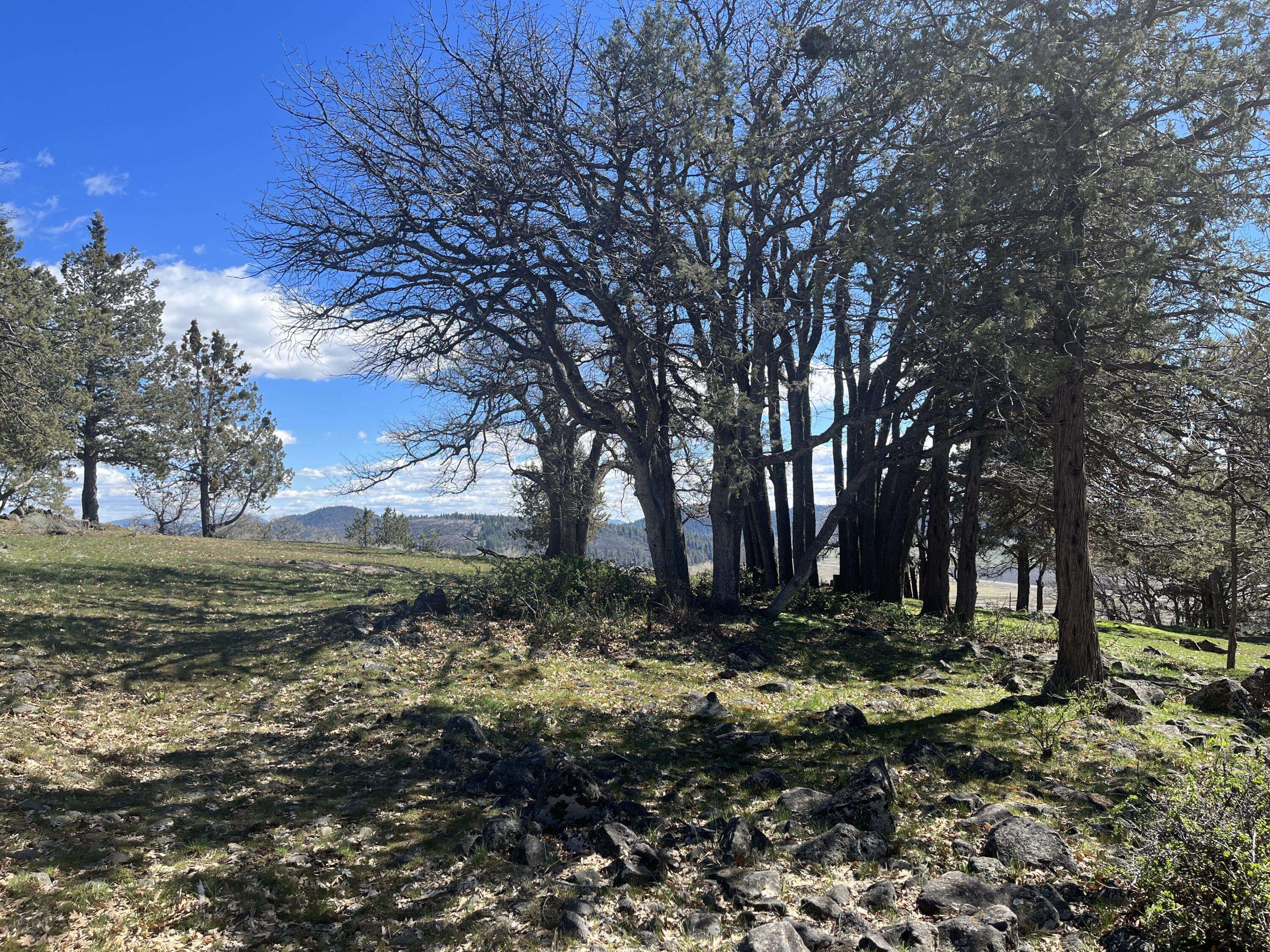 Klamath Falls, OR 97601,Lot 828 Coopers Hawk RD