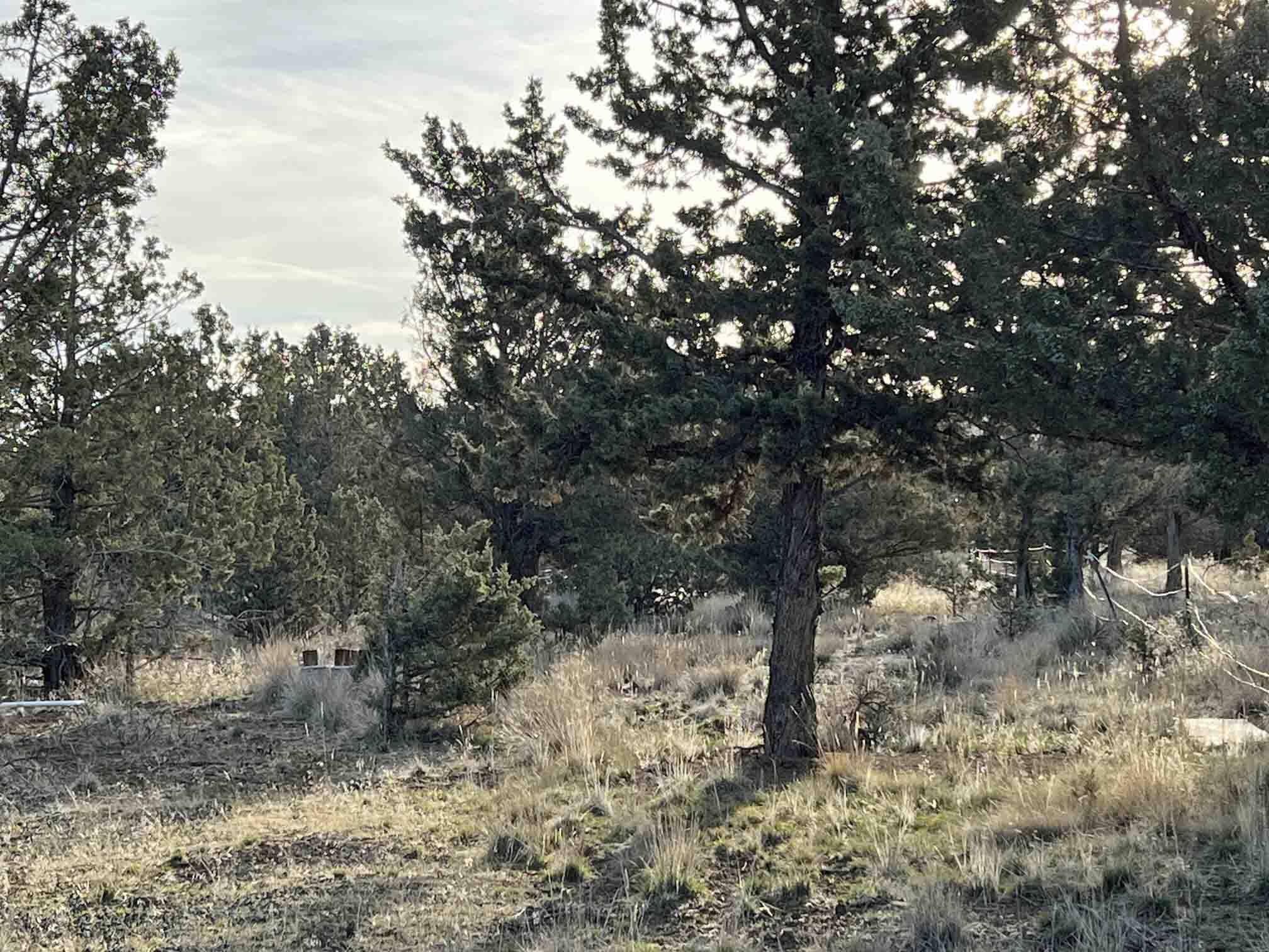 Prineville, OR 97754,Southwood DR #Lot 5