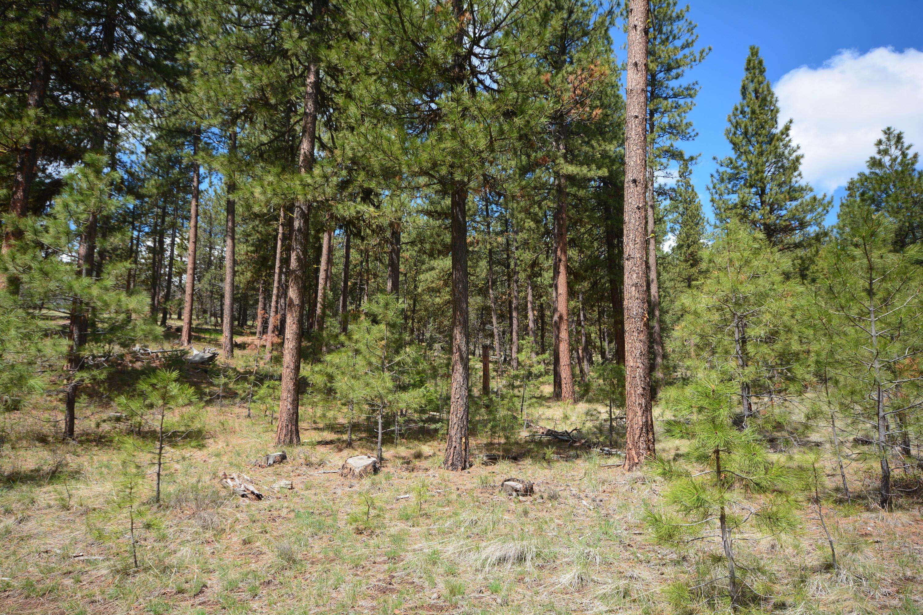 Prineville, OR 97754,TBD Allen Creek RD