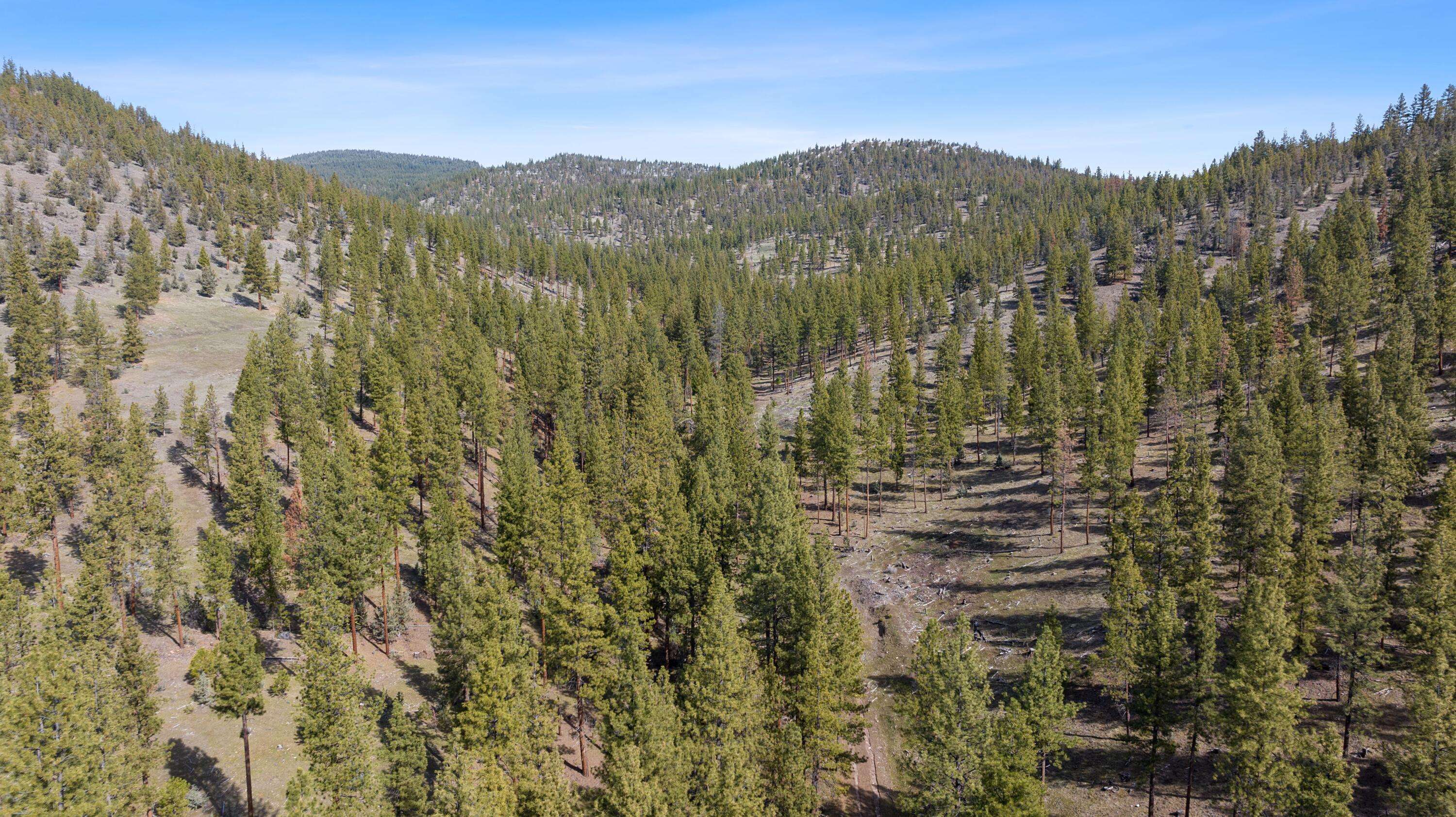 Prineville, OR 97754,TBD Allen Creek RD