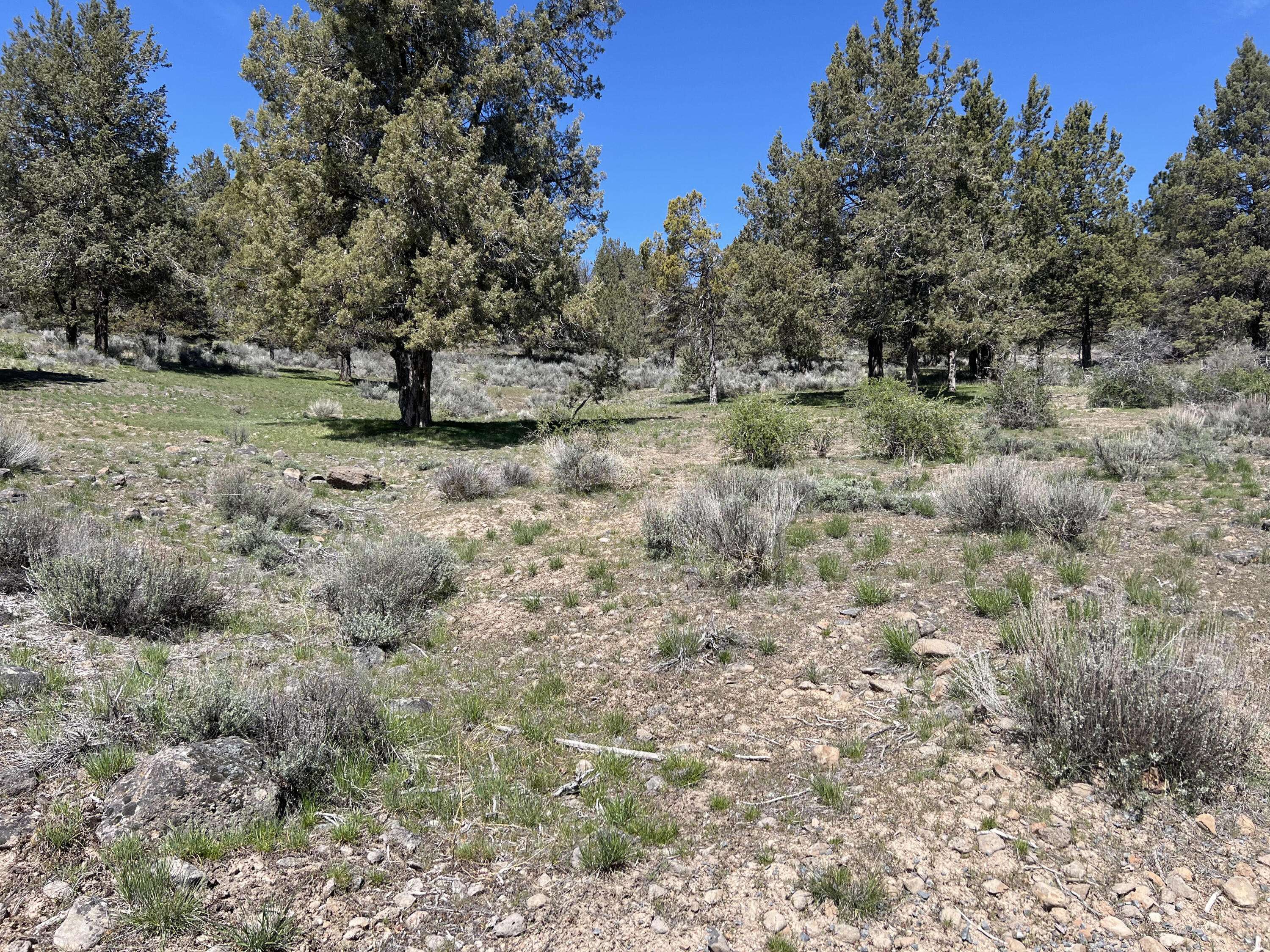 Klamath Falls, OR 97601,Lot 1195 Murrelet RD