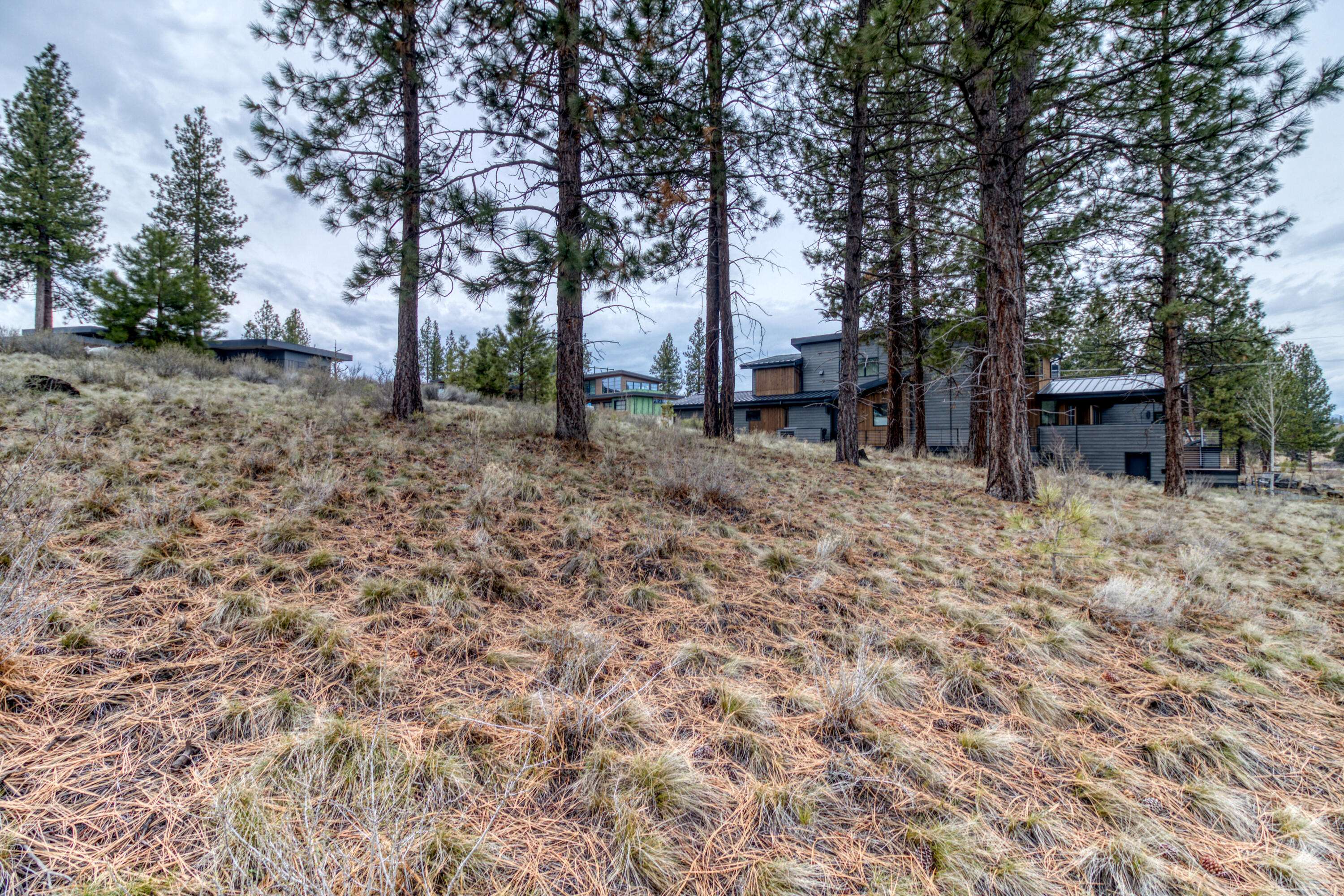 Bend, OR 97702,61841 Hosmer Lake DR #377