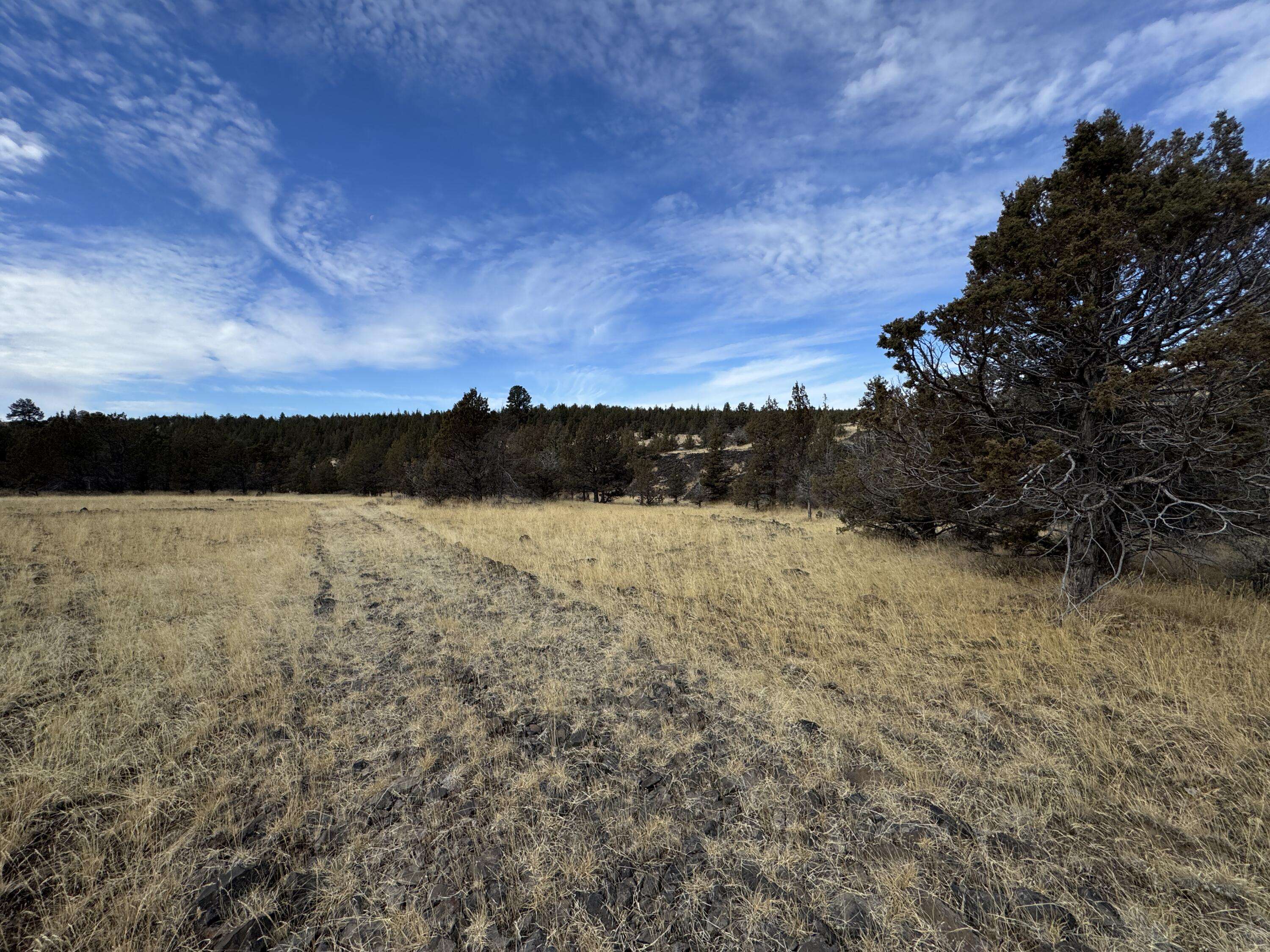 Prineville, OR 97754,3000 Ochoco HWY