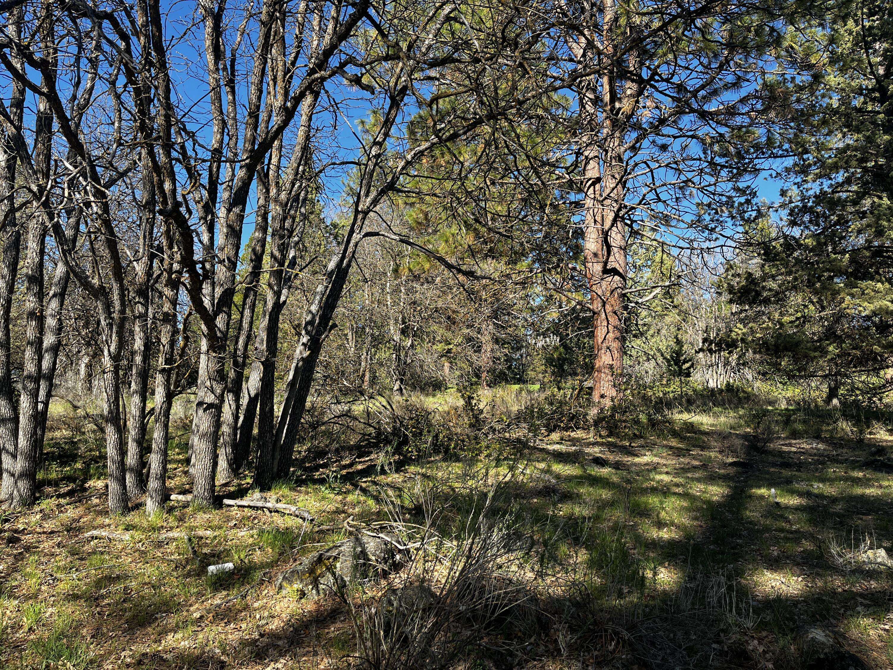 Klamath Falls, OR 97601,Lot 110 Merganser RD