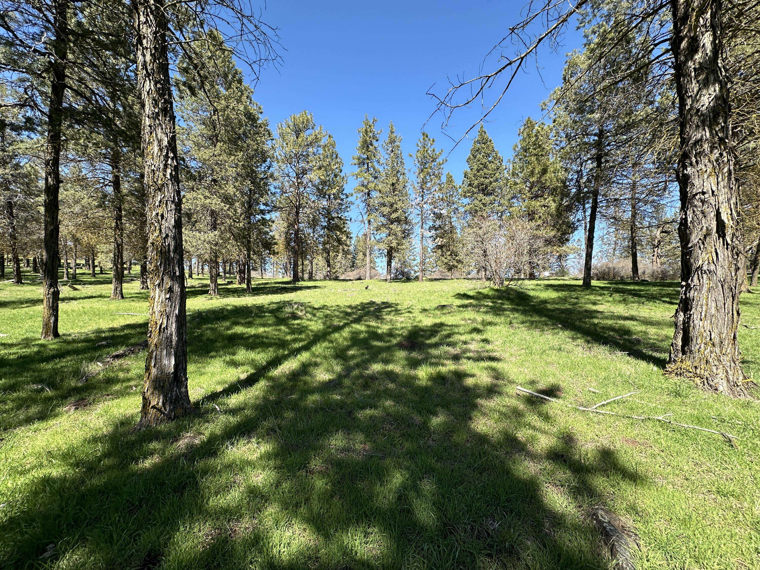 Klamath Falls, OR 97601,Lot 1014 Crossbill DR