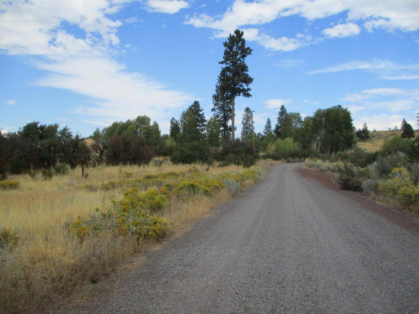 Chiloquin, OR 97624,Lot 4 Elida CT