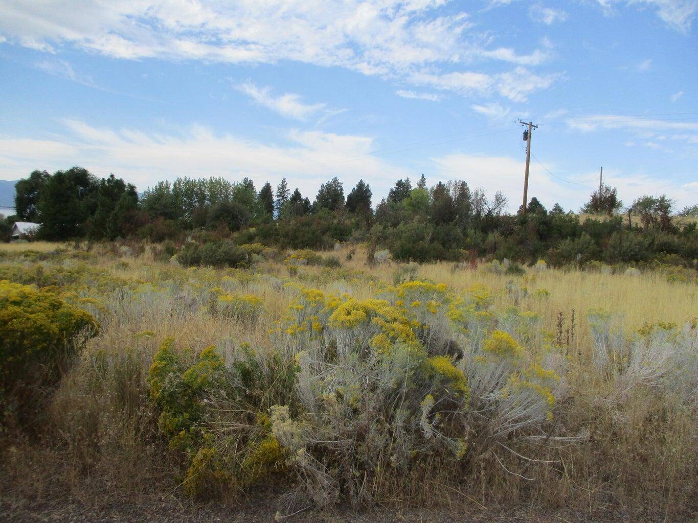 Chiloquin, OR 97624,Lot 4 Elida CT