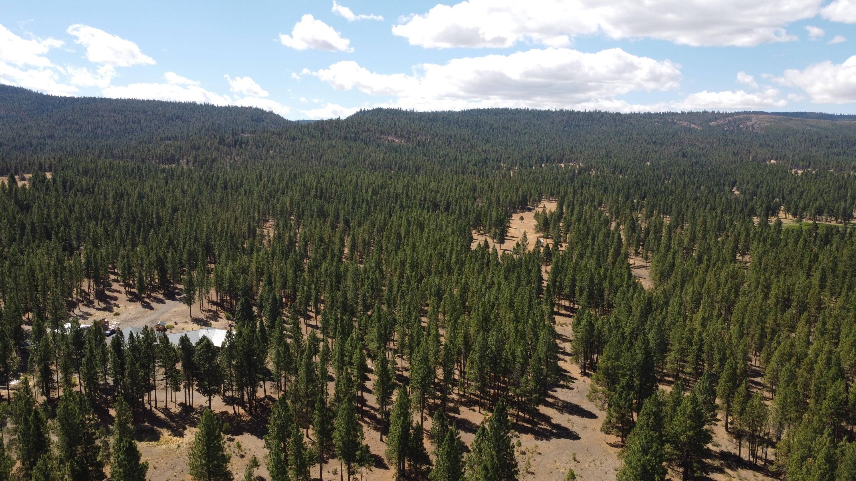 Sprague River, OR 97639,26949 Fremont RD