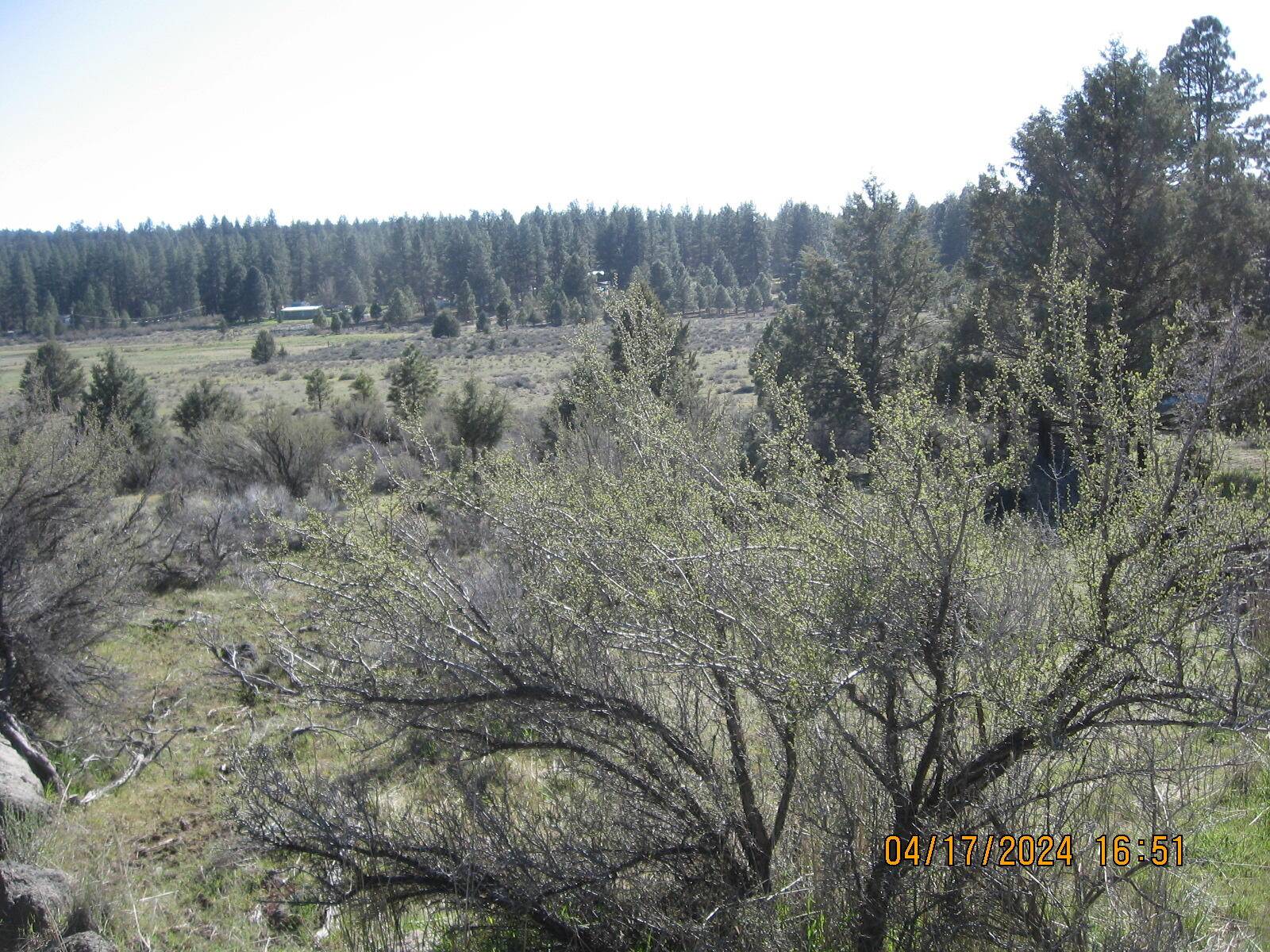 Bonanza, OR 97623,Brant Drive Lot 35