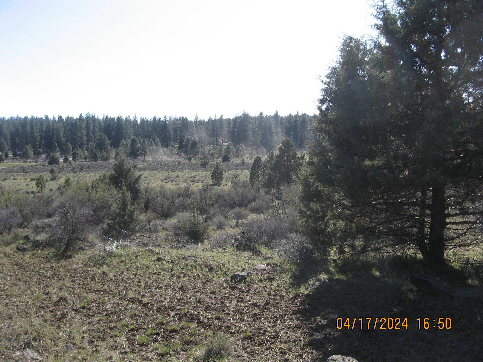 Bonanza, OR 97623,Brant Drive Lot 35