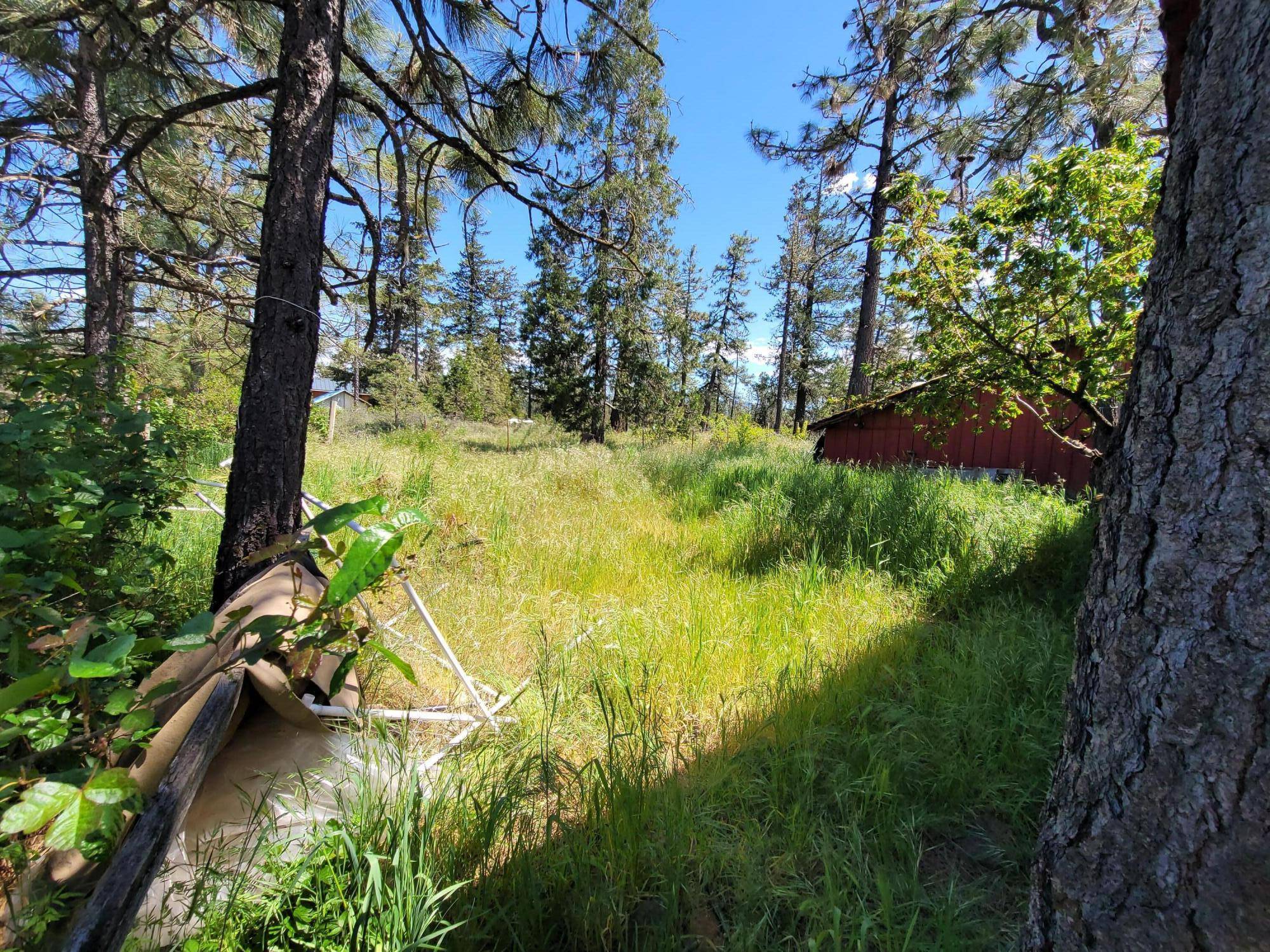 Cave Junction, OR 97523,30451 Redwood HWY