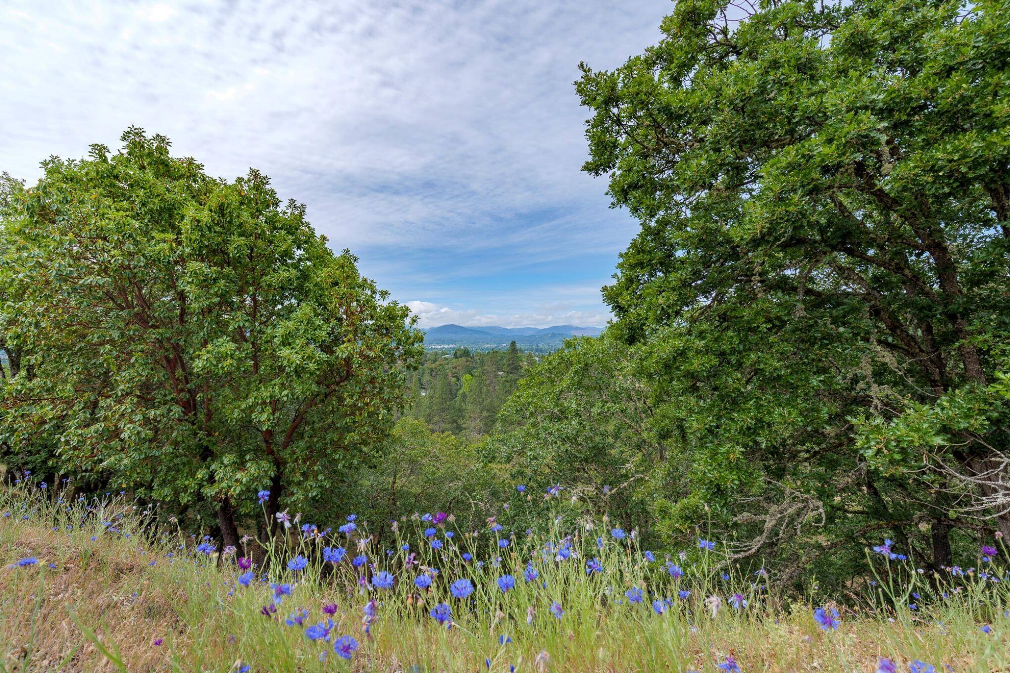 Grants Pass, OR 97526,Starlite PL