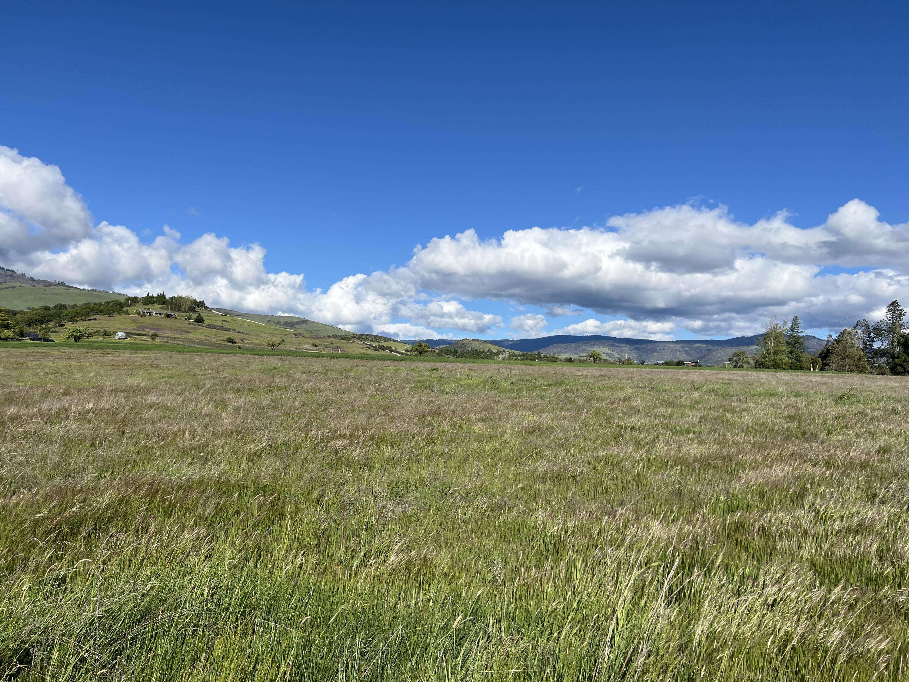 Ashland, OR 97520,0 Nevada ST
