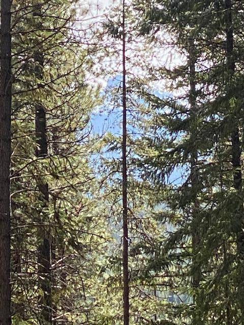 Crescent Lake, OR 97733,Lot 9 Diamond Peaks DR