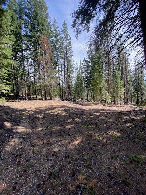 Crescent Lake, OR 97733,Lot 9 Diamond Peaks DR