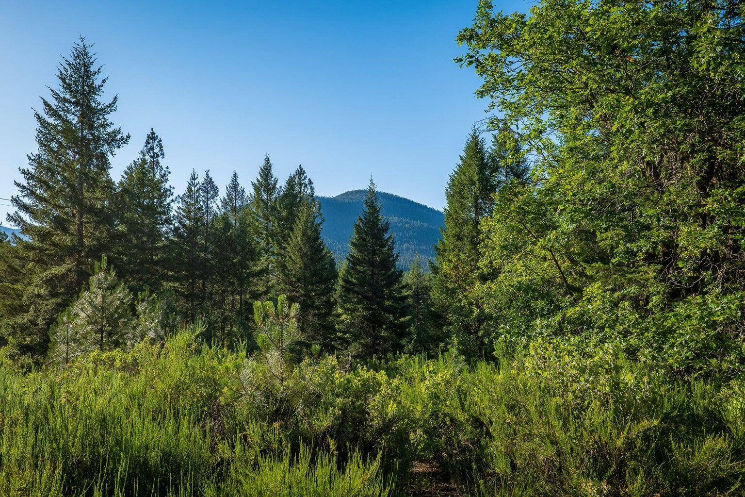 Kerby, OR 97531,22503 Redwood HWY #2