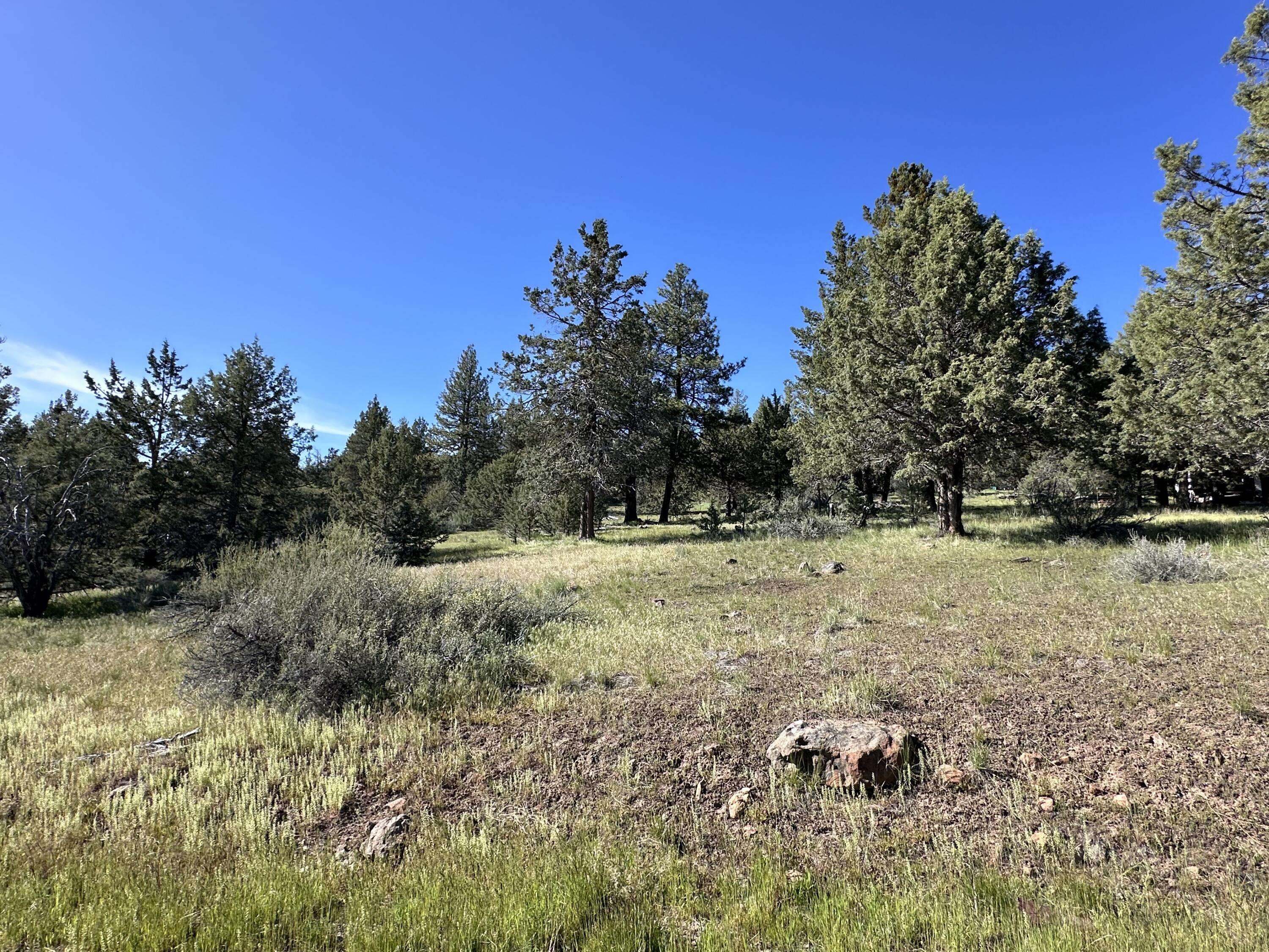 Bonanza, OR 97623,Lot 11, 12 Buffalo