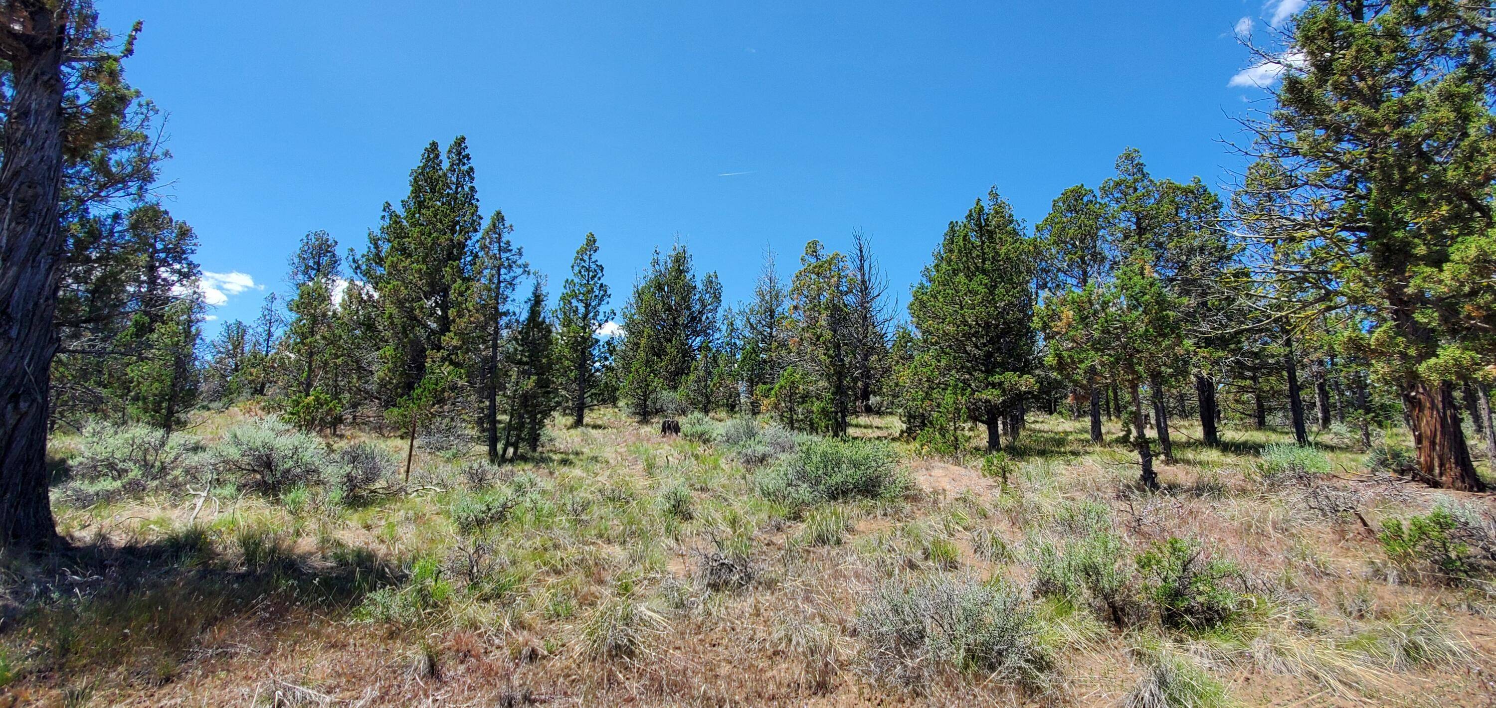 Prineville, OR 97754,Weatherby LOOP #4300