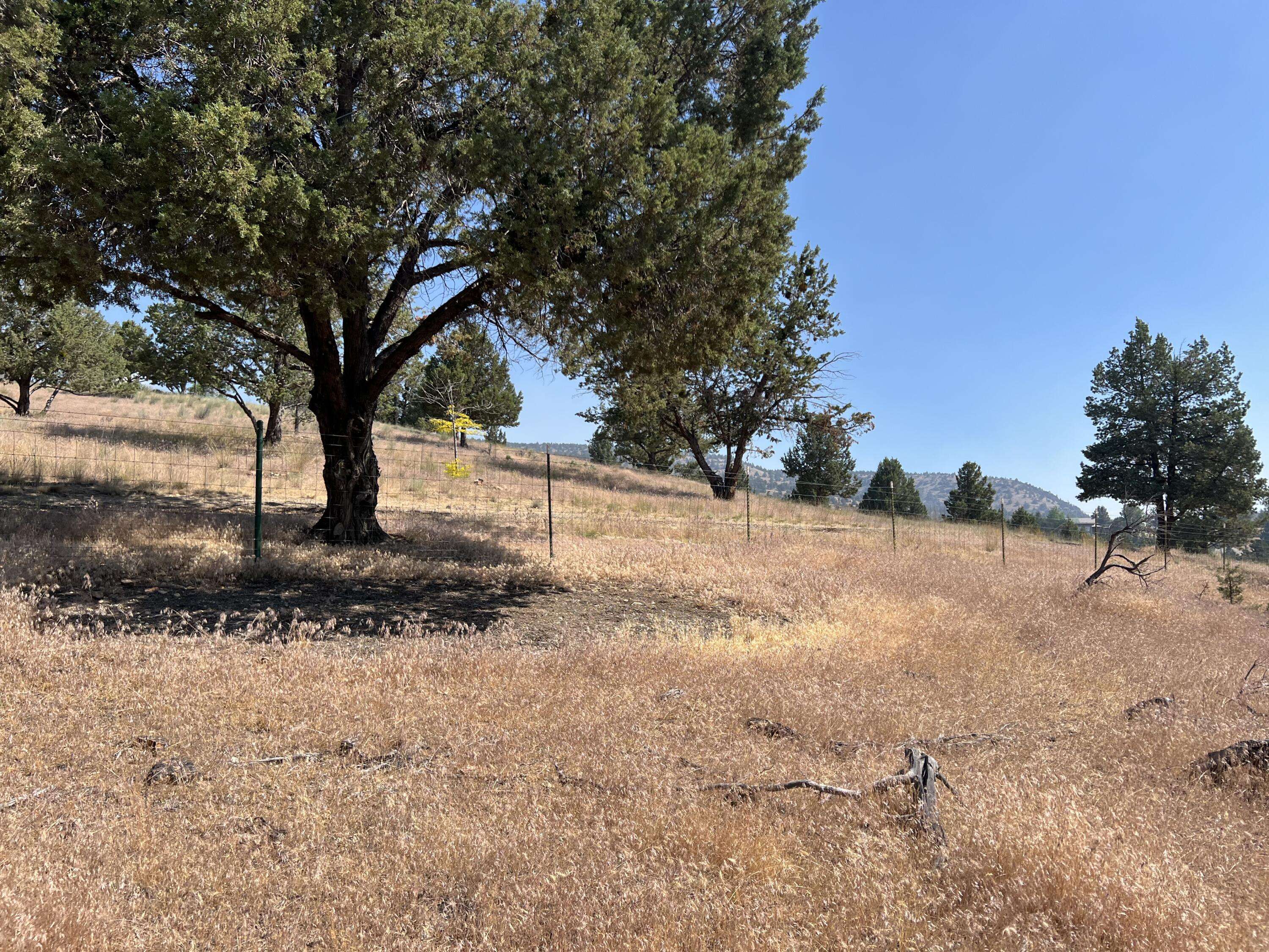 Prineville, OR 97754,6241 Gray Lot 17 ST