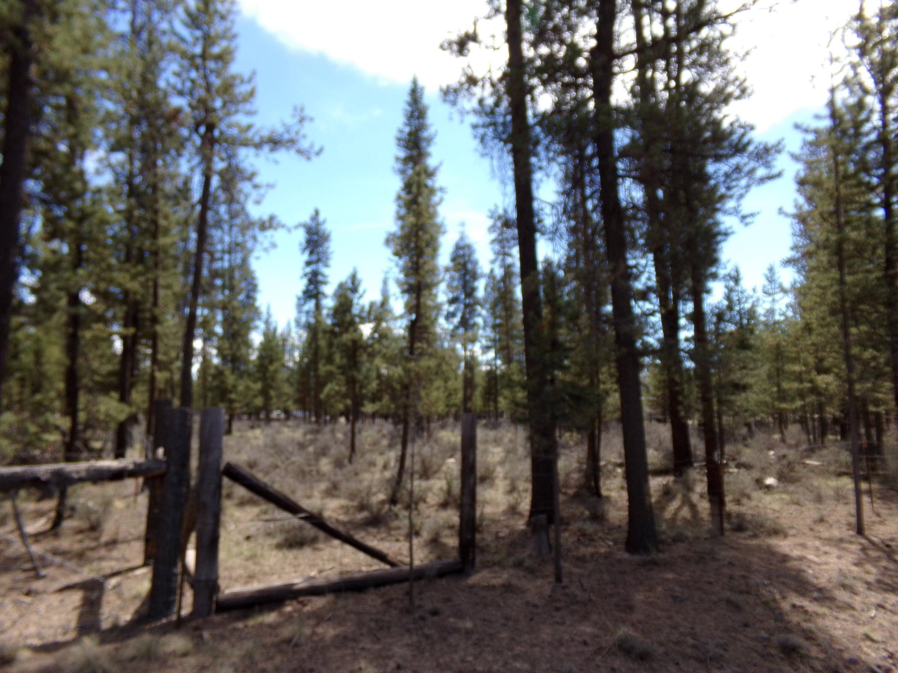 La Pine, OR 97739,12632 Sun Forest DR