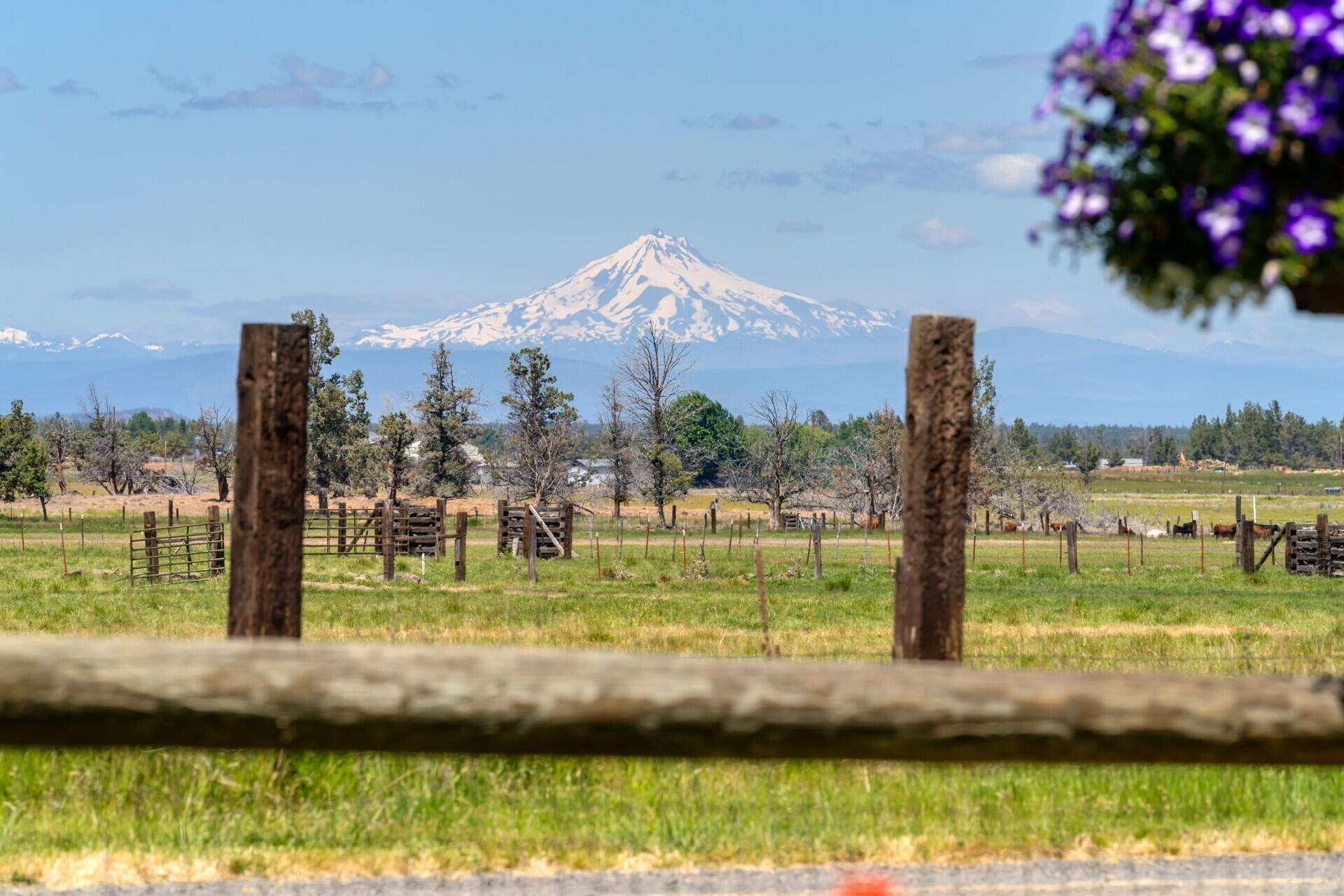 Powell Butte, OR 97753,12895 Hwy 126