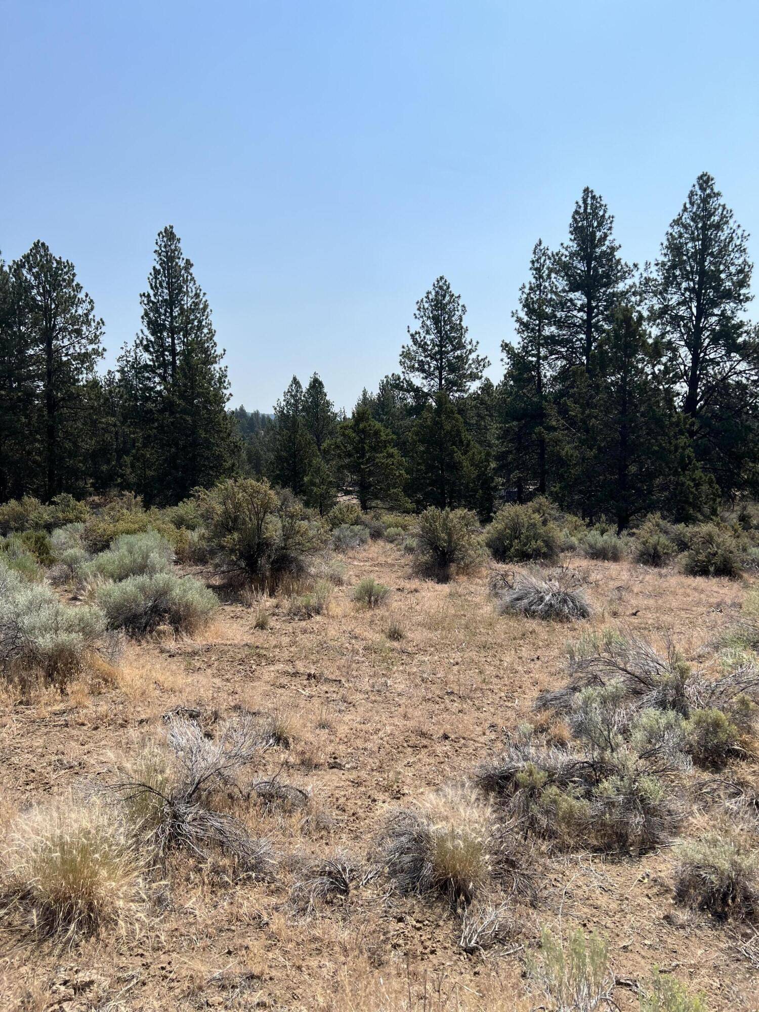 Chiloquin, OR 97624,Klamath Forest Estates