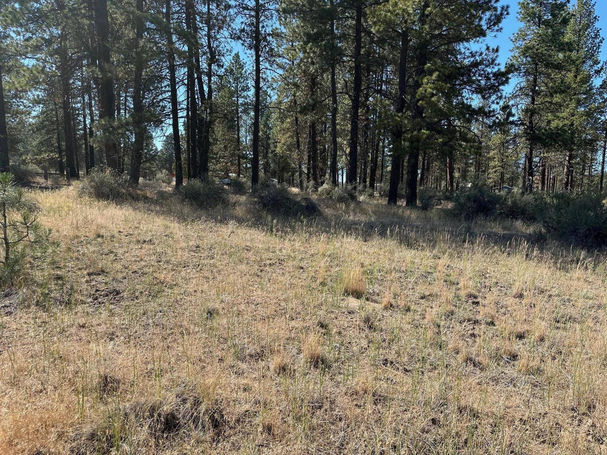 Bonanza, OR 97623,Lot 2900 Teal DR