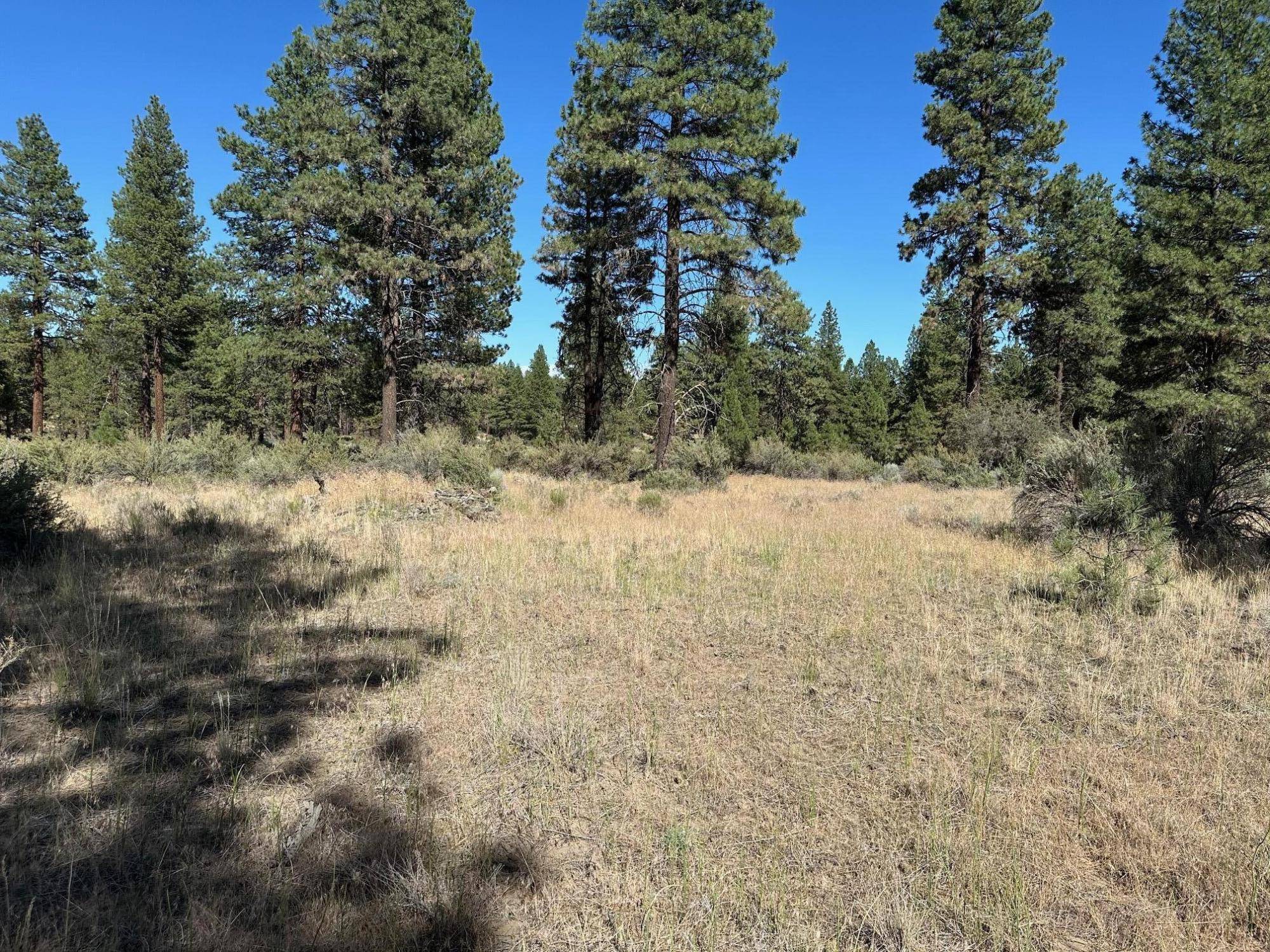 Bonanza, OR 97623,Lot 2900 Teal DR