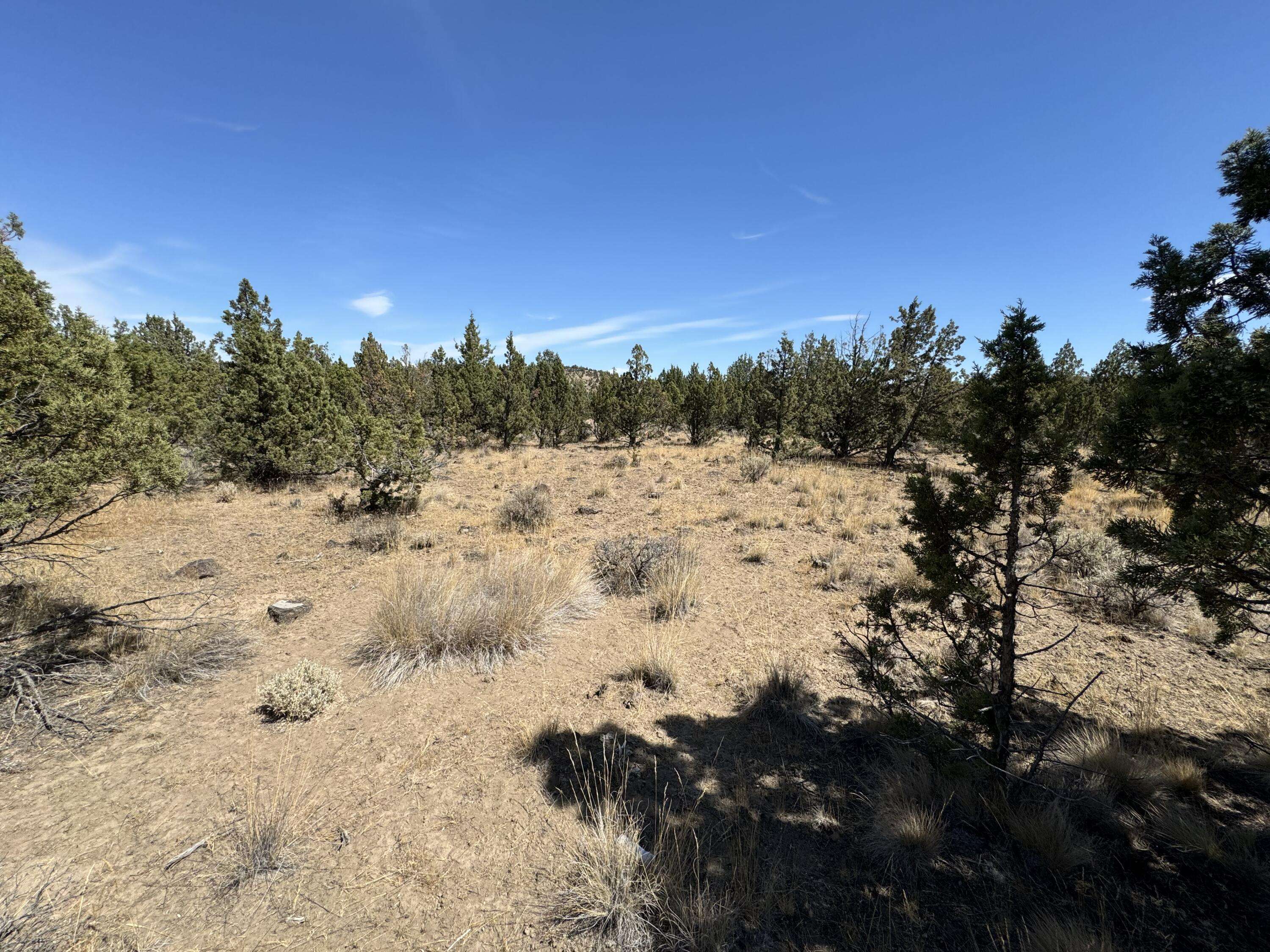 Prineville, OR 97754,00902 Lot Davis LOOP