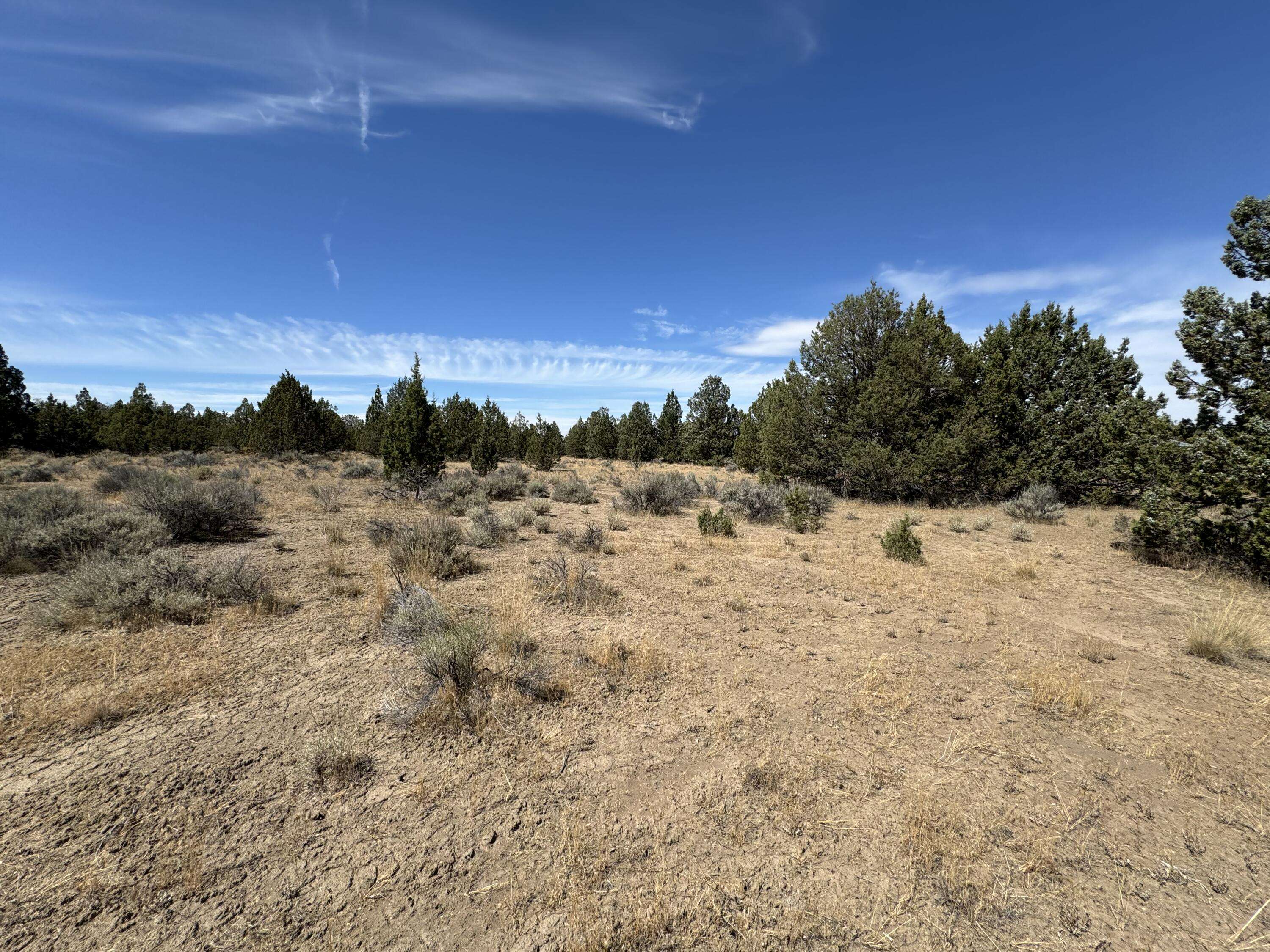 Prineville, OR 97754,00902 Lot Davis LOOP