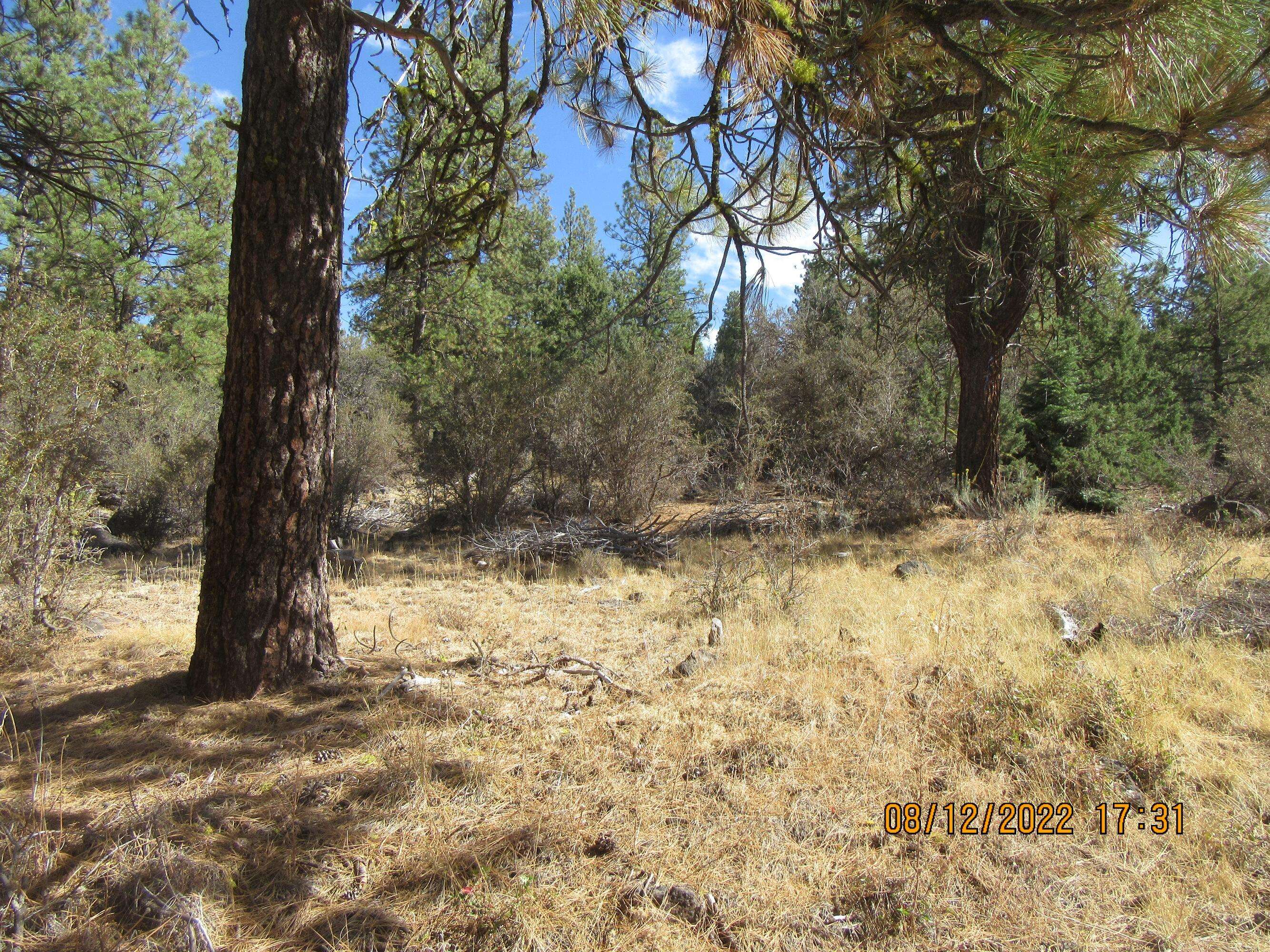 Bonanza, OR 97623,Lot 12W2 Brown Bear LN