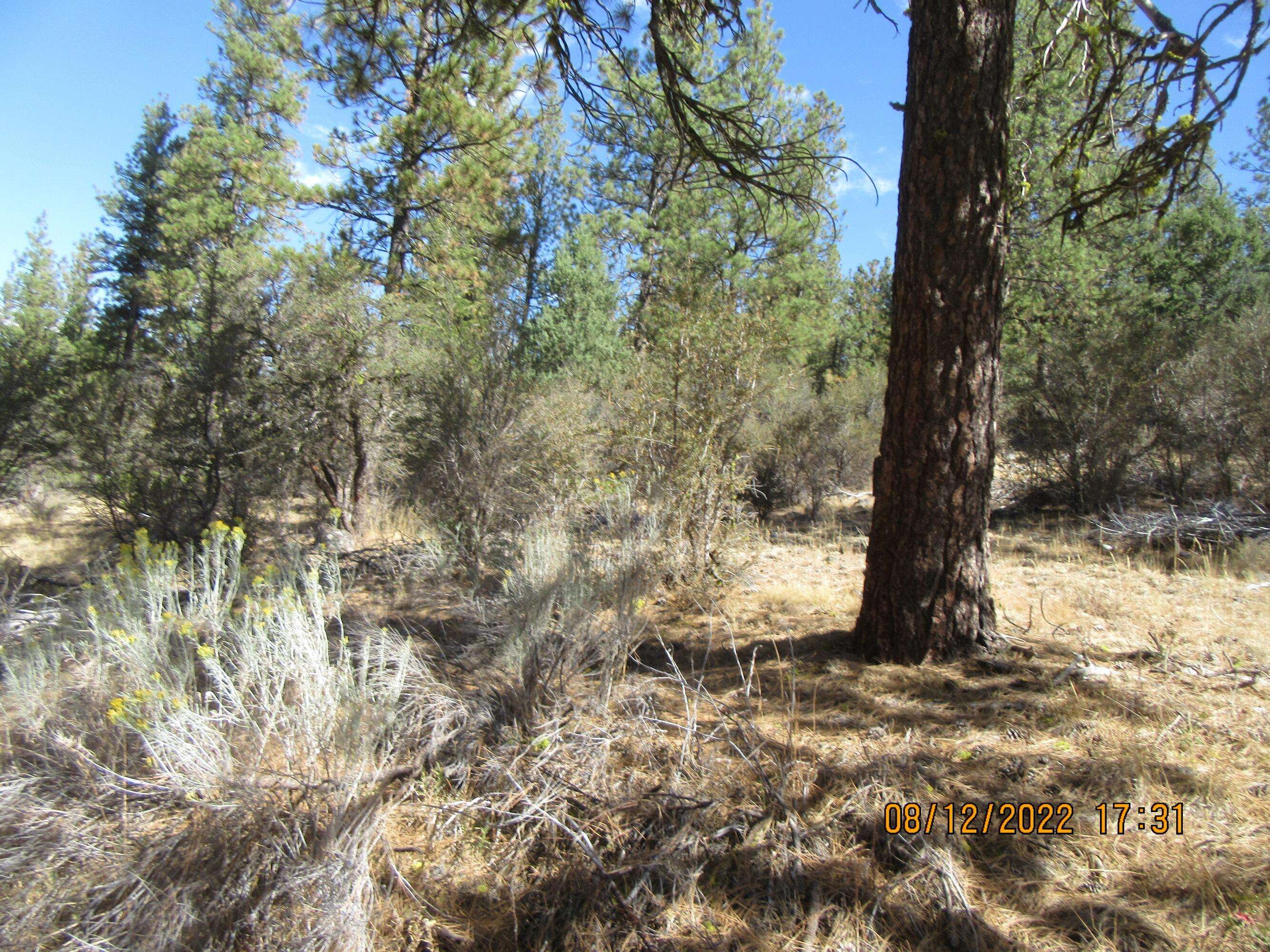 Bonanza, OR 97623,Lot 12W2 Brown Bear LN