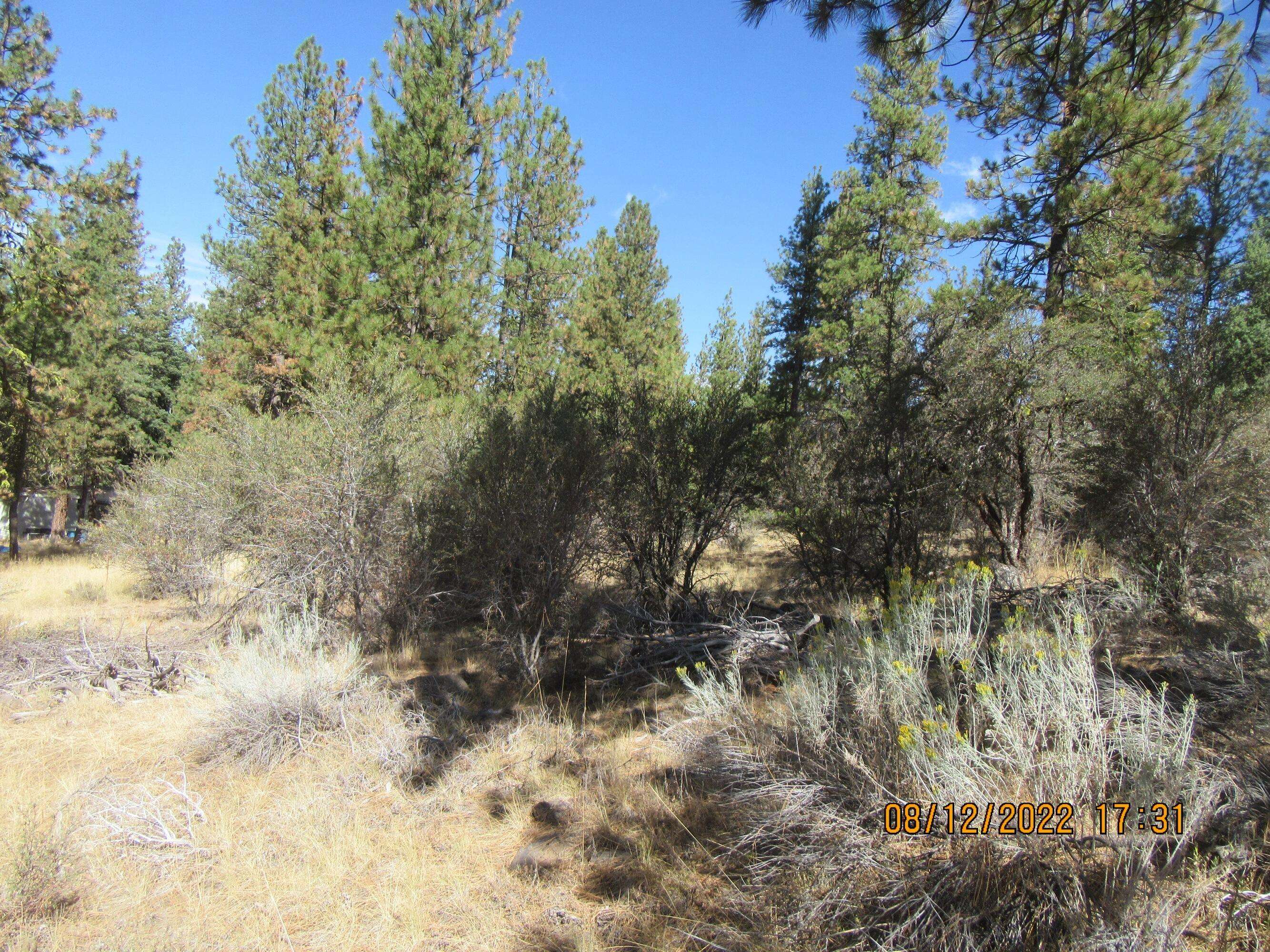 Bonanza, OR 97623,Lot 12W2 Brown Bear LN