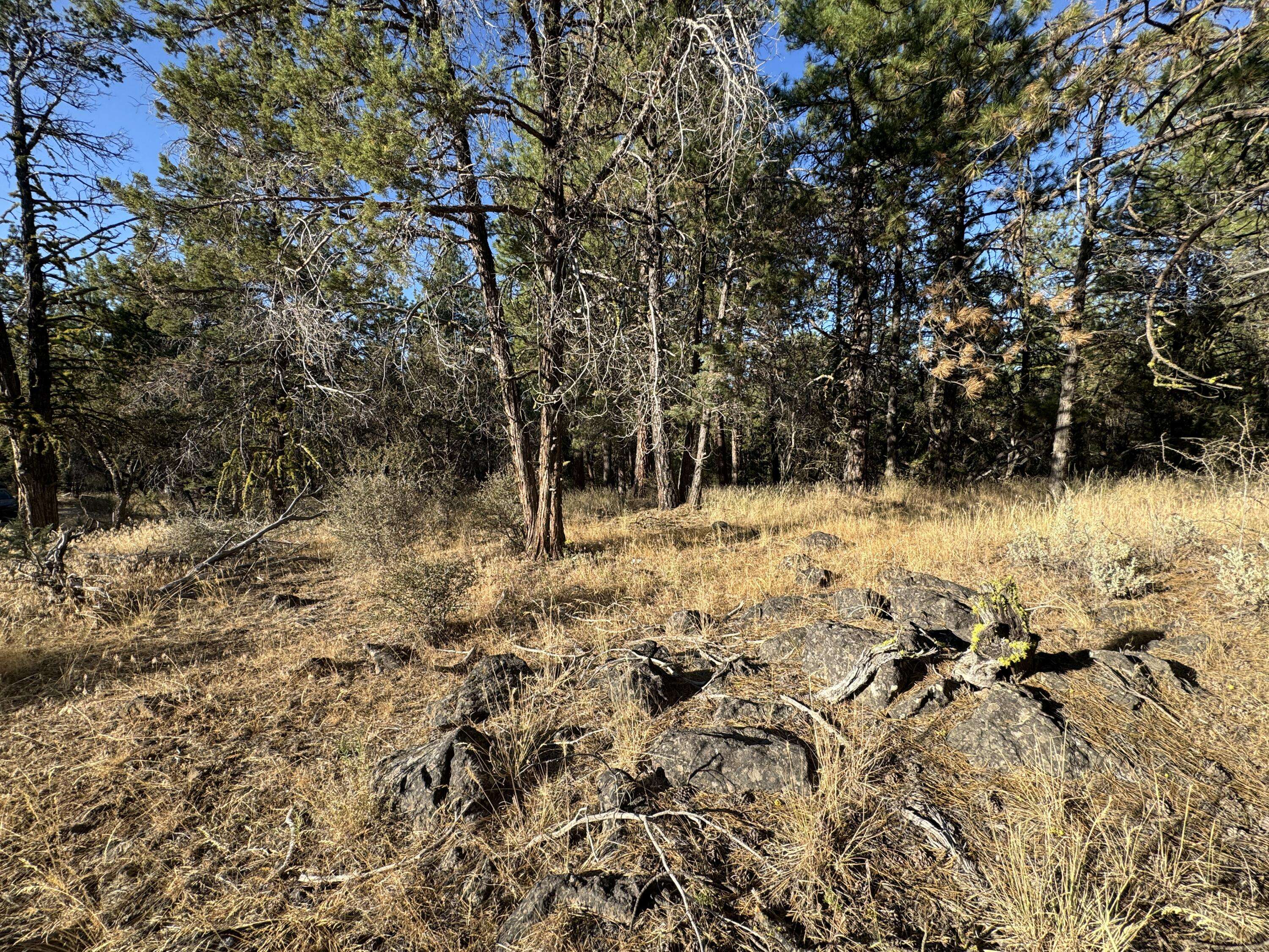 Bonanza, OR 97623,Lot 30 Golden Eagle LN