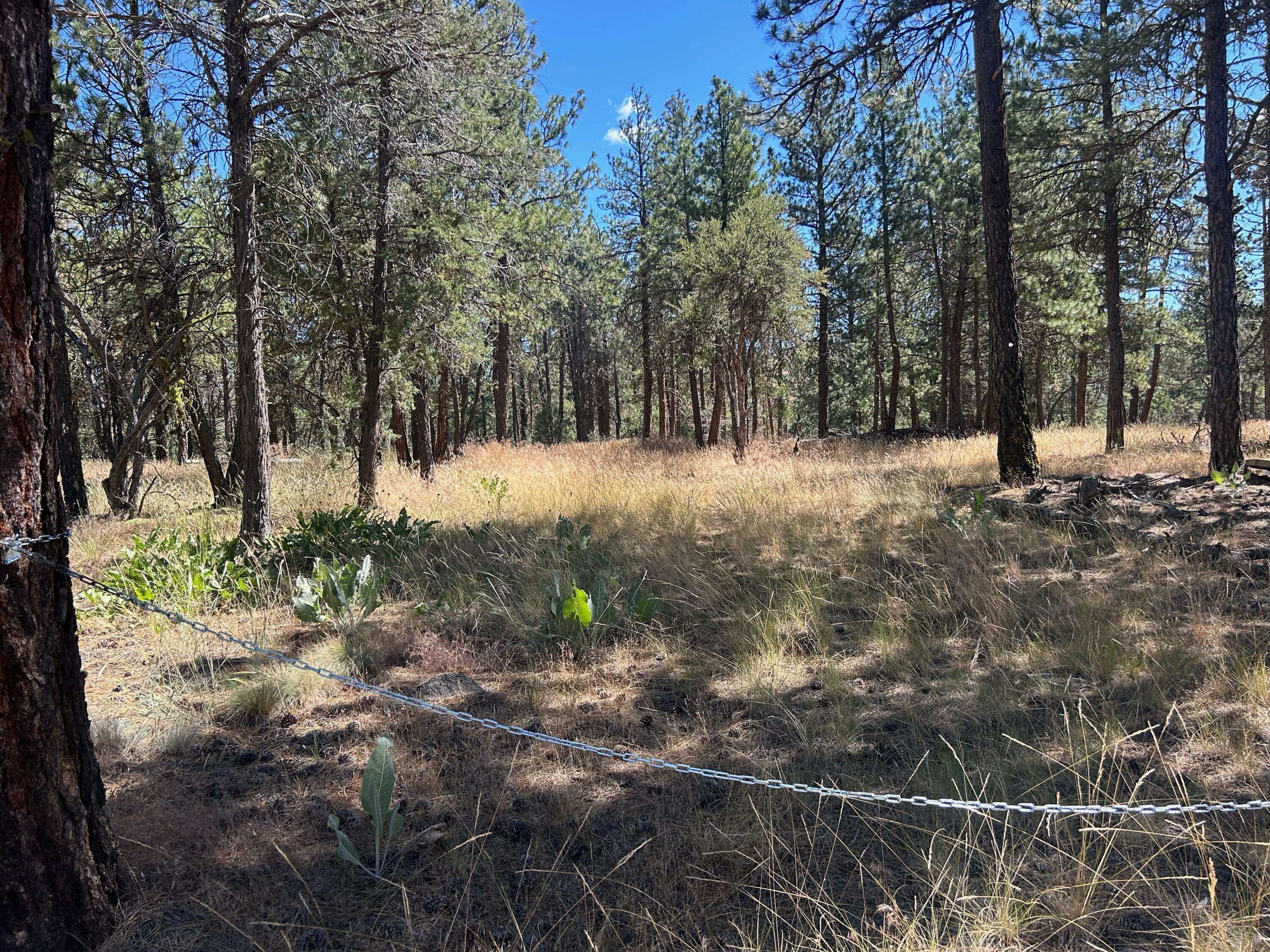 Bonanza, OR 97623,Lot 30 Golden Eagle LN