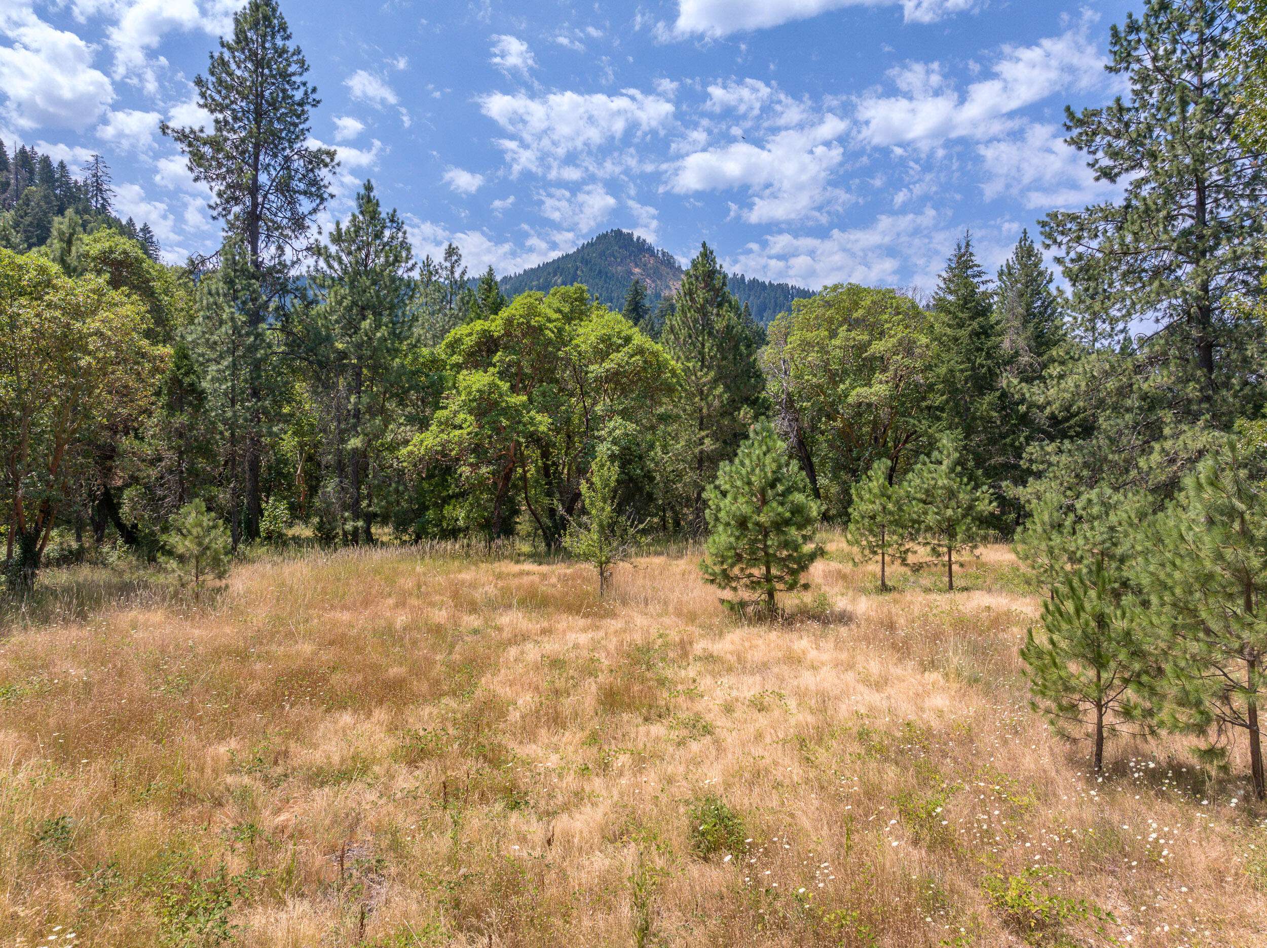 Wolf Creek, OR 97497,997 Old Hwy 99 S